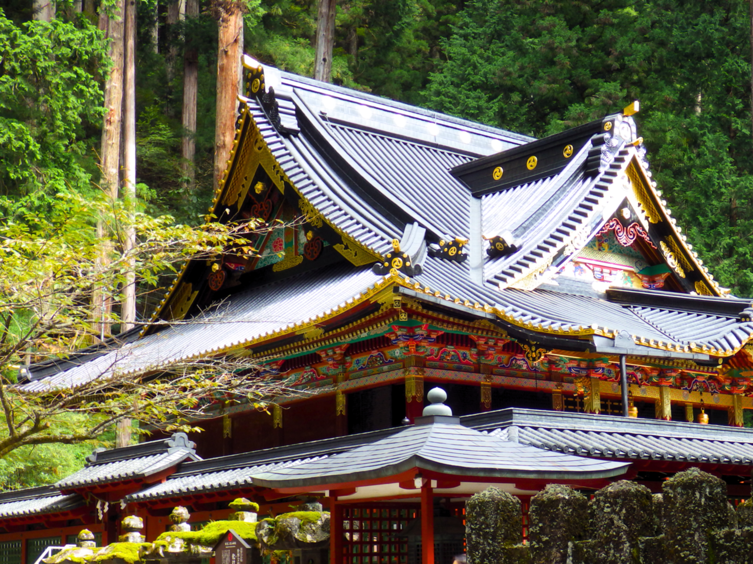 日光の社寺」世界遺産登録25周年記念をお祝いしよう♪ ｜特集 ｜【公式  