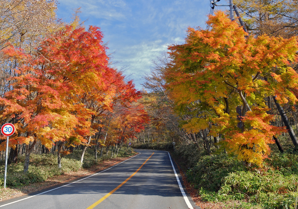 紅葉状況