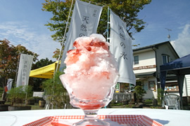 【2025年版】日光天然氷のかき氷17選！地元ライターおすすめ店のこだわりレポート