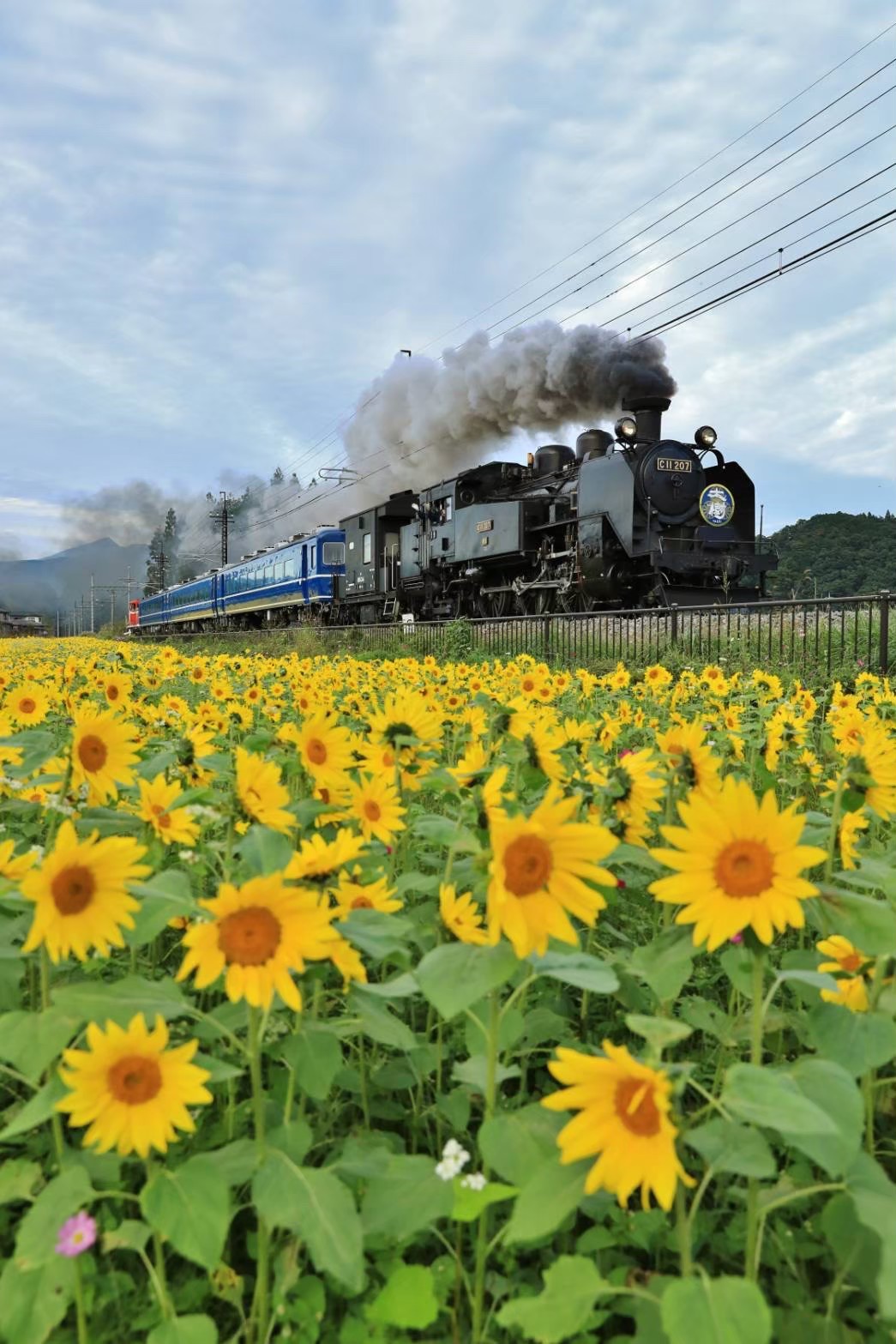 観光案内スタッフとは？