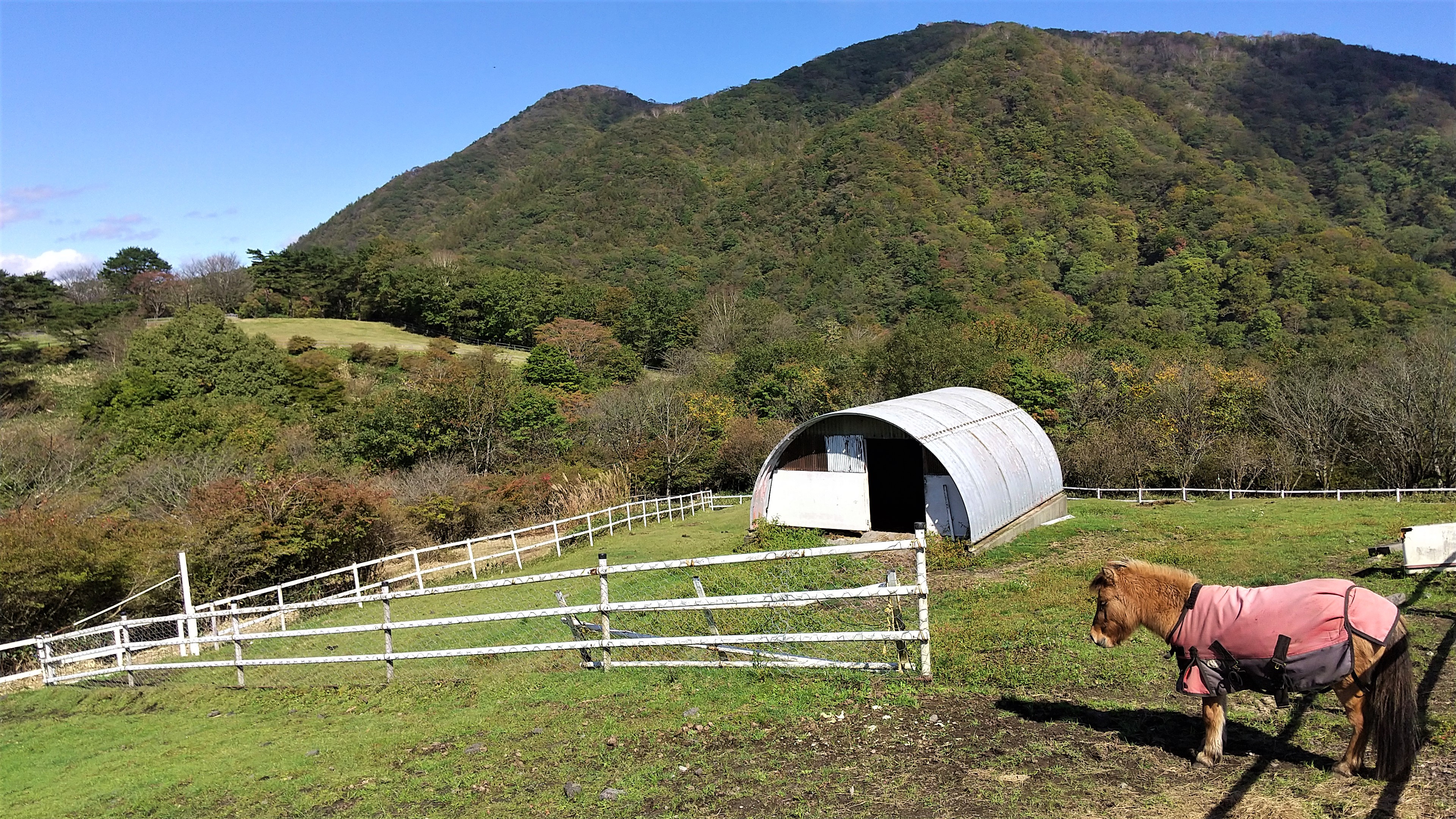 基本情報