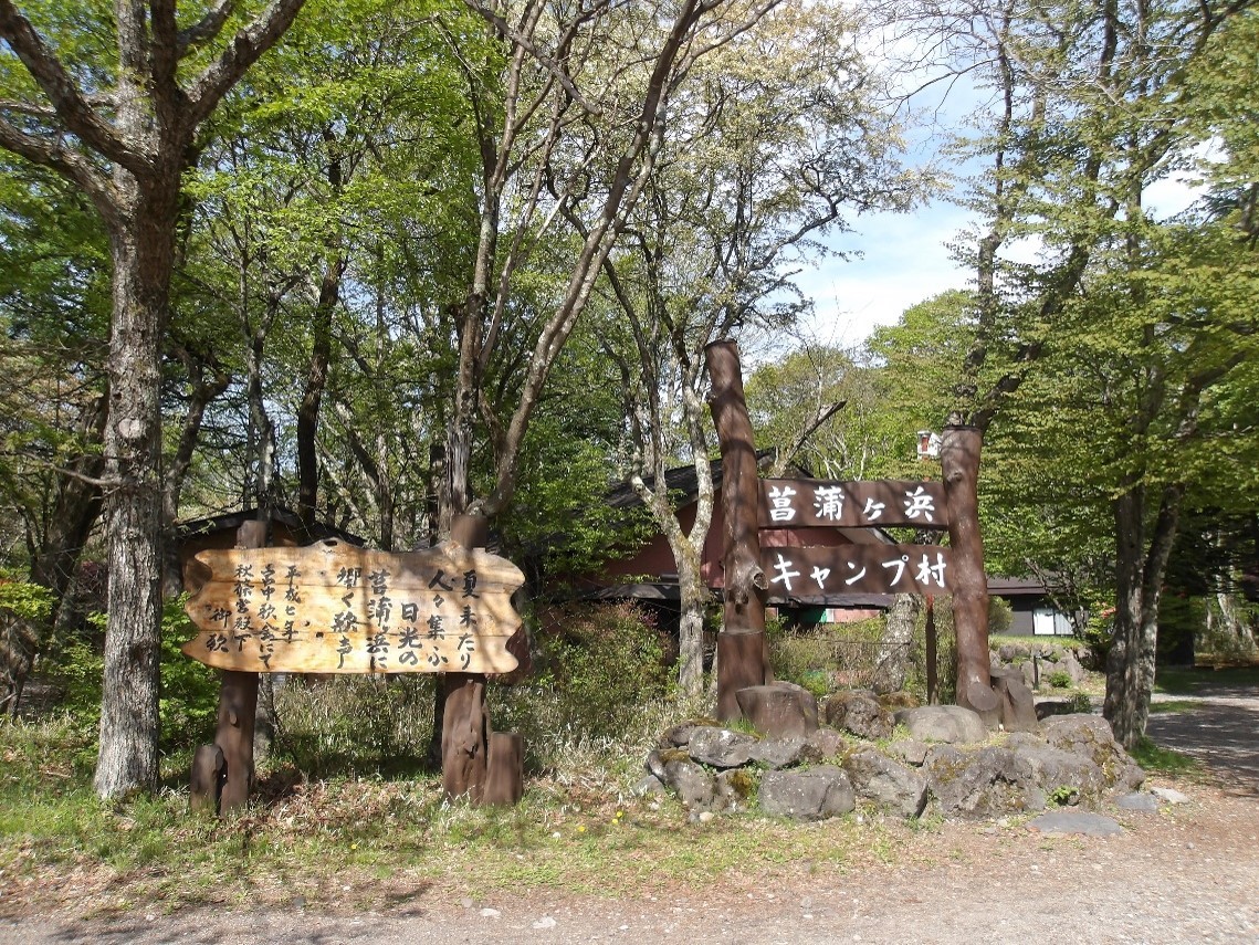 基本情報