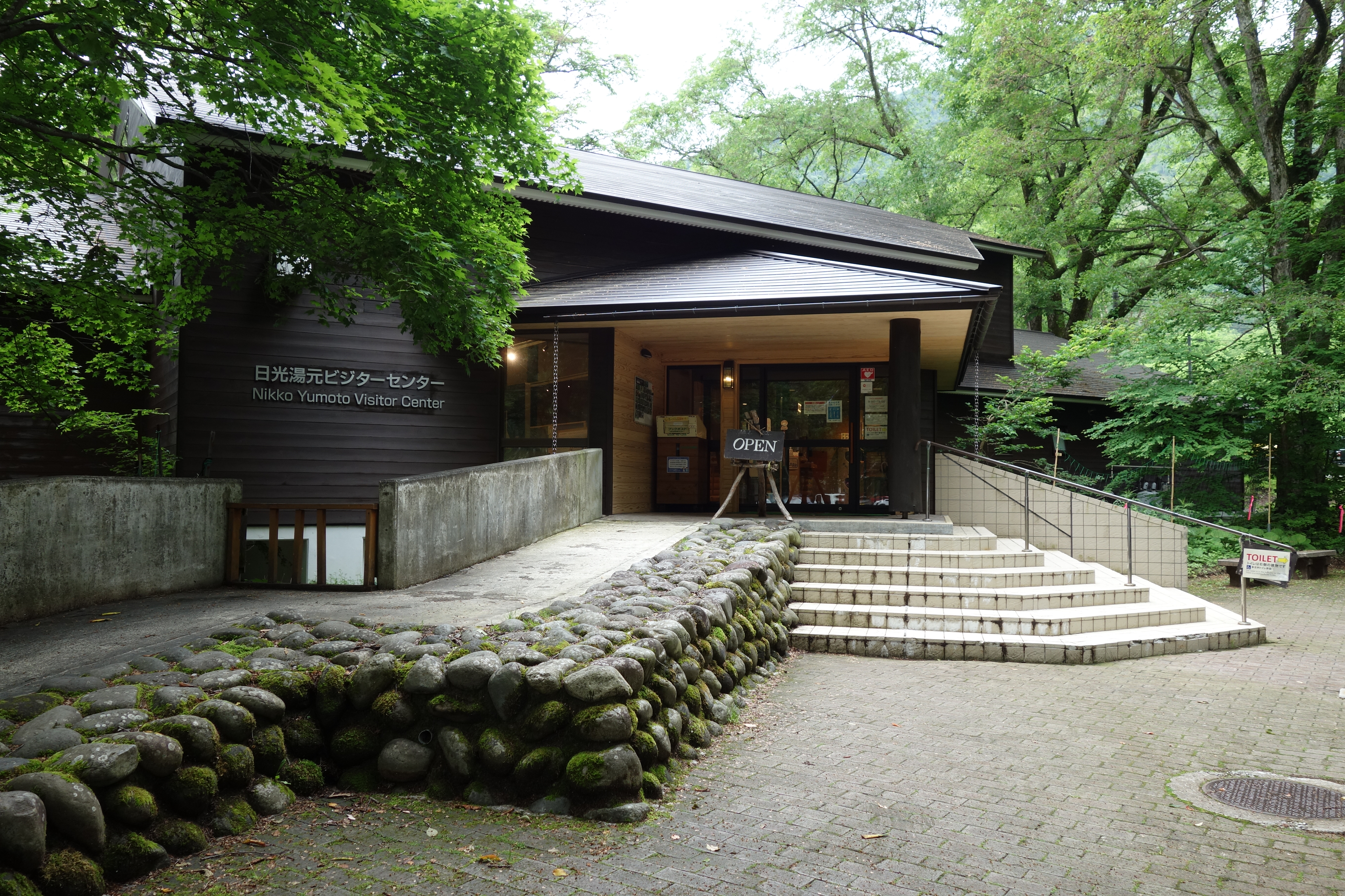 基本情報