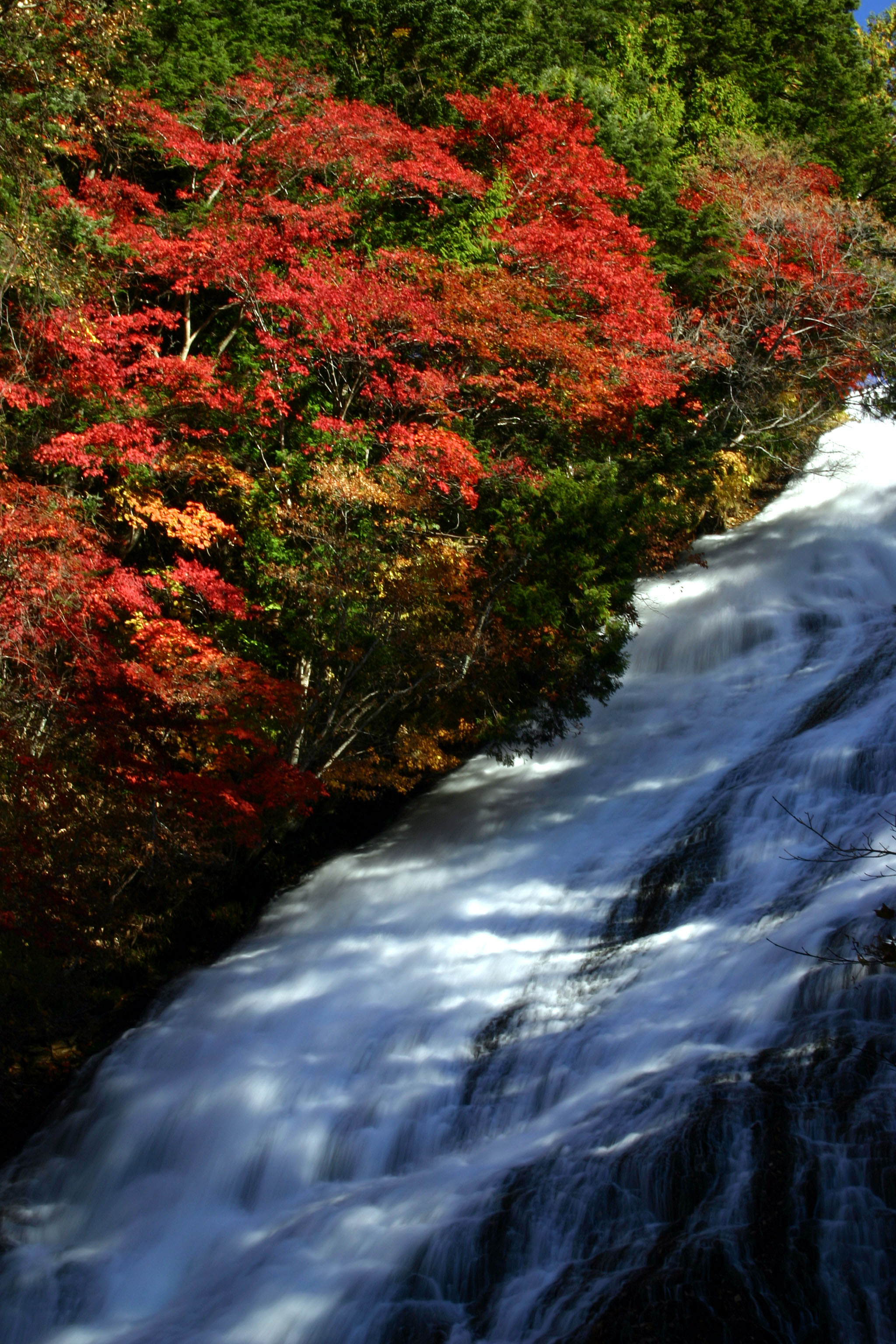 湯滝（紅葉）