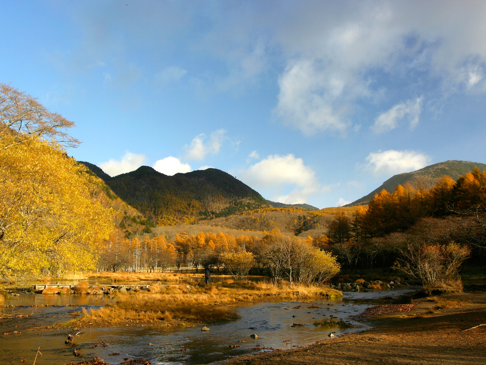 光徳園地（紅葉）