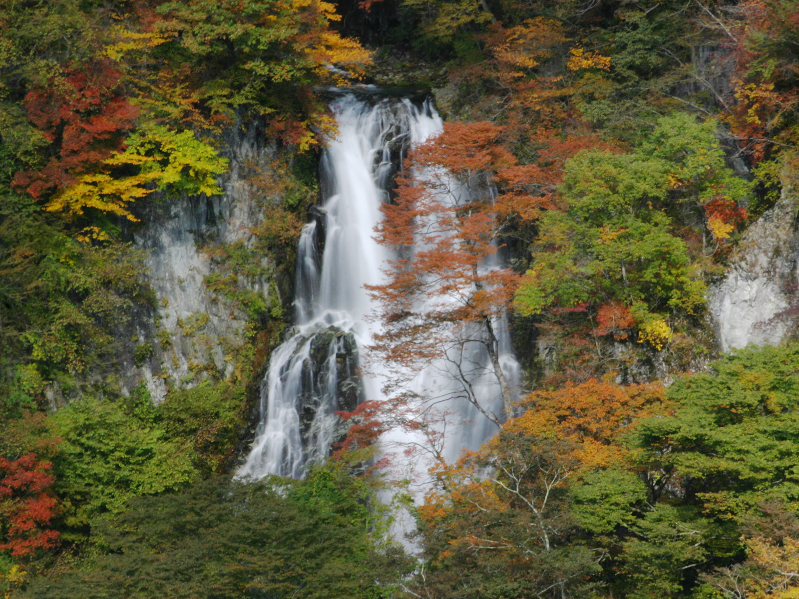 霧降滝（下段、紅葉）