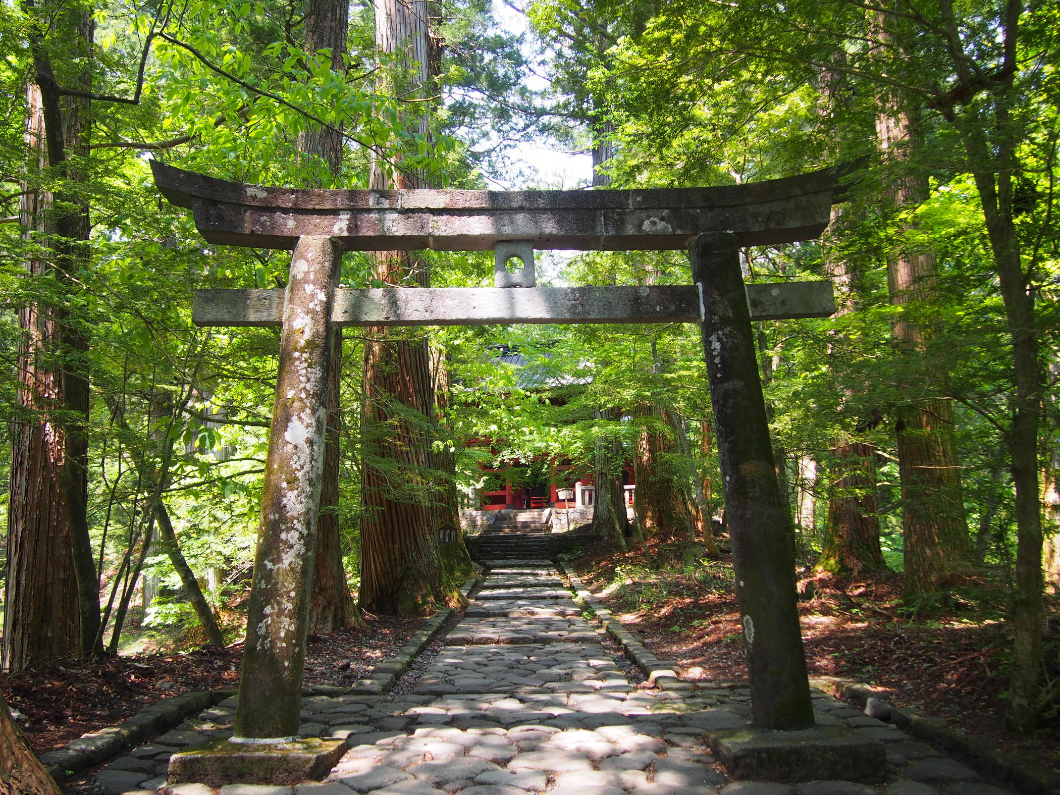 滝尾神社（運試しの鳥居）