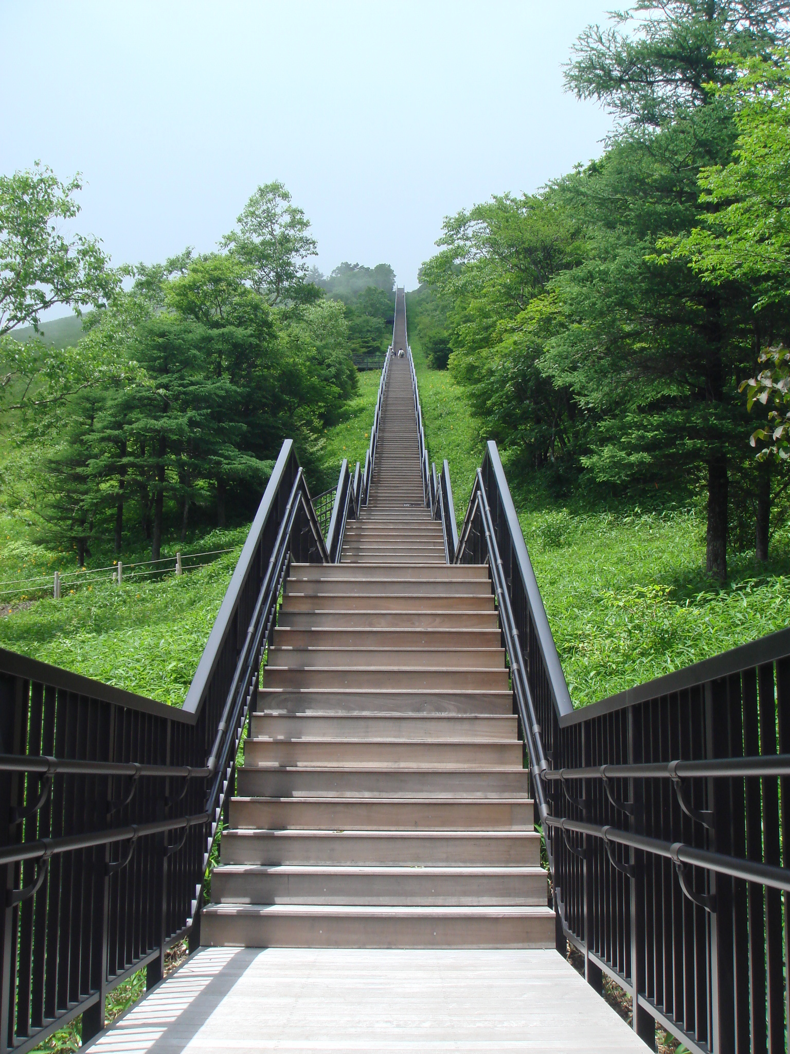 日光霧降高原キスゲ平園地