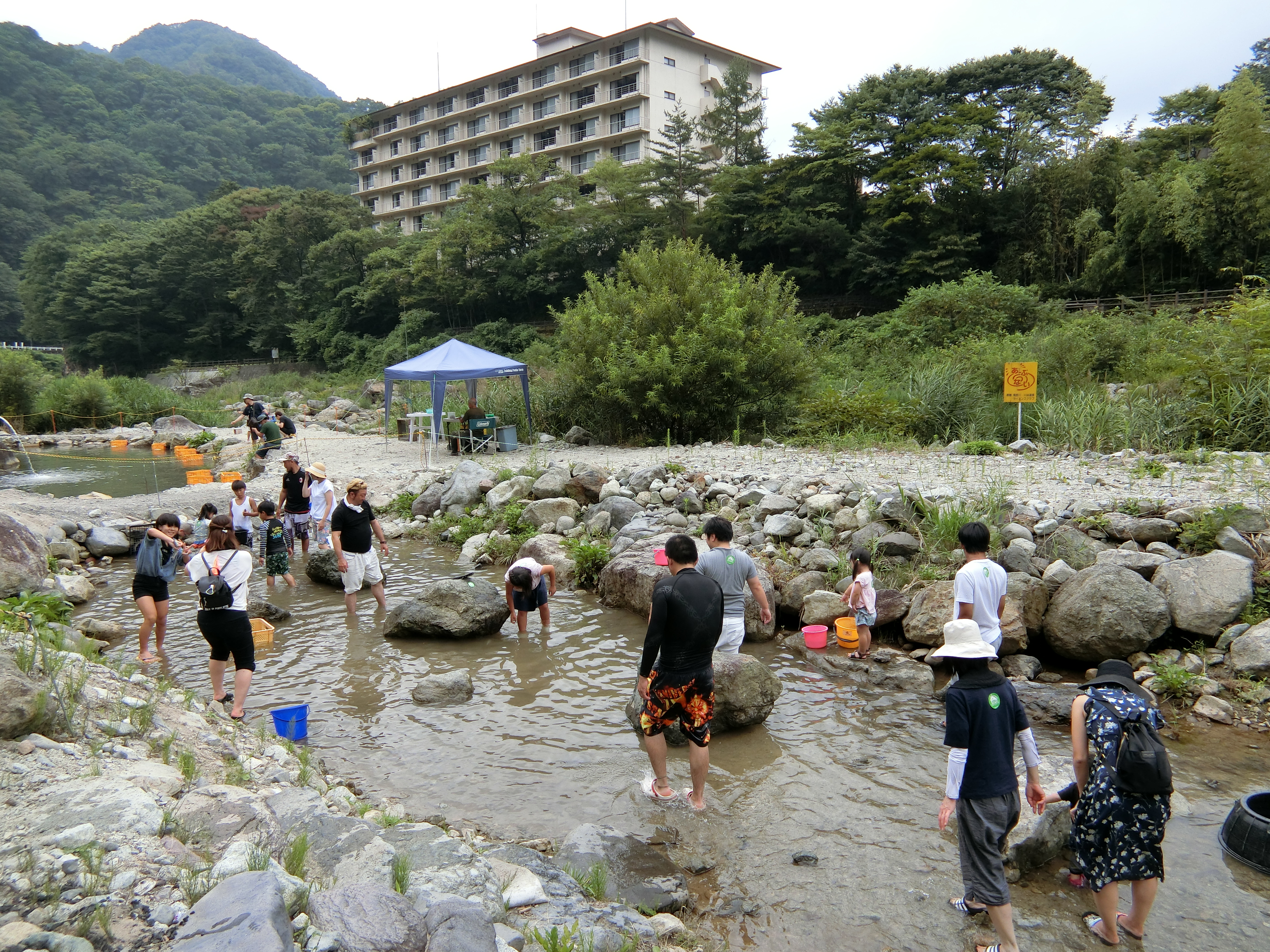 魚のつかみどりin川治
