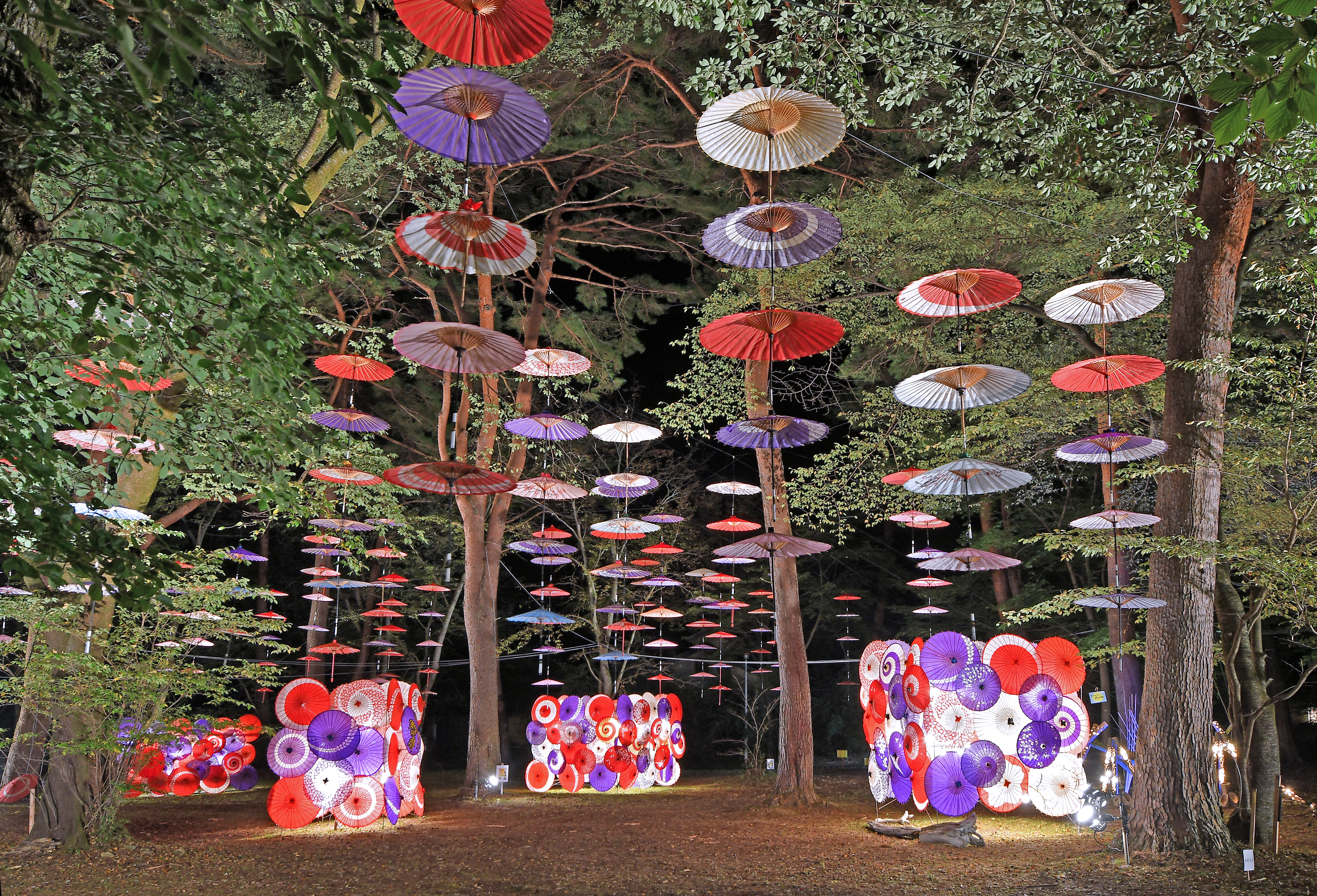 月あかり花回廊1