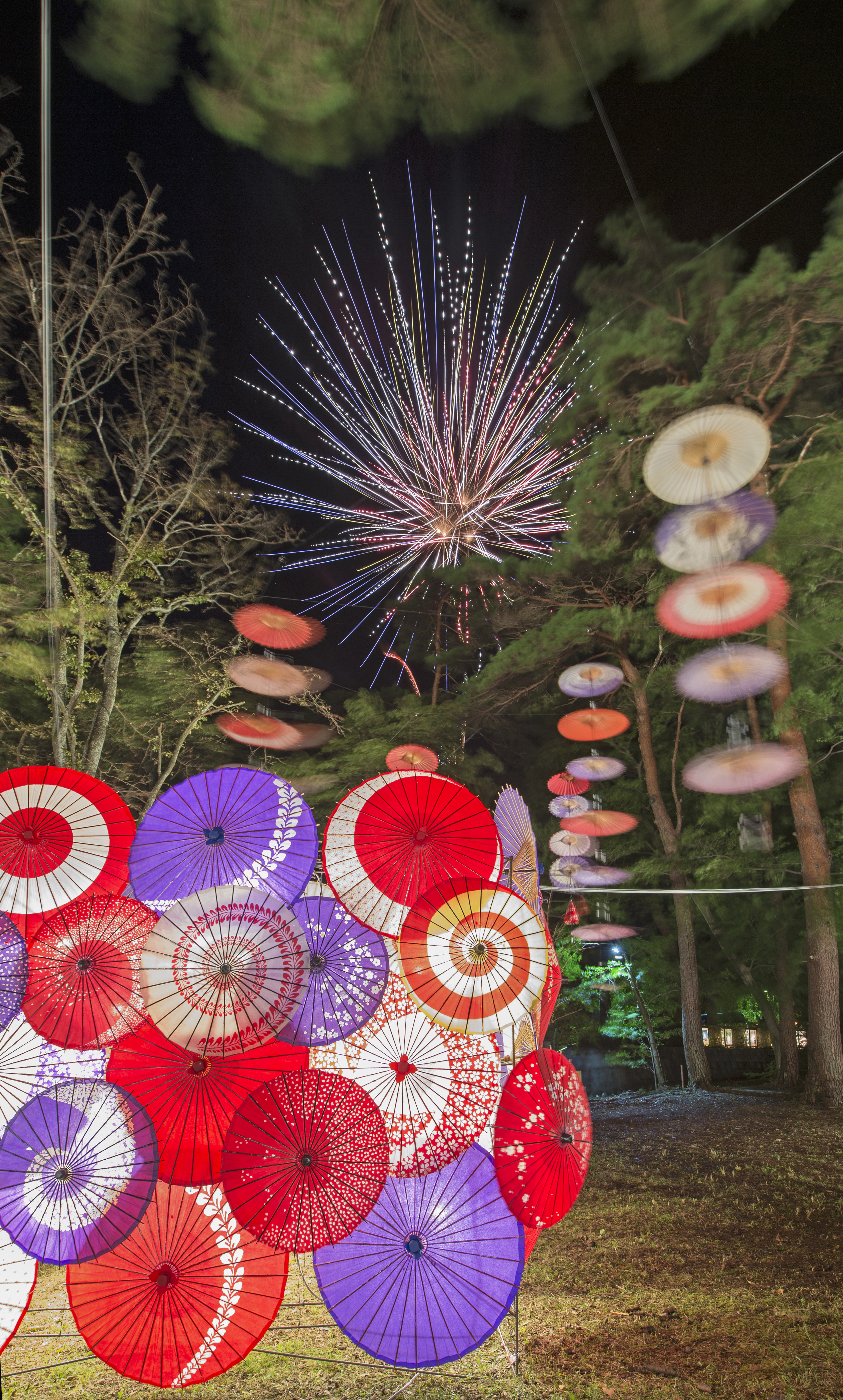 月あかり花回廊2