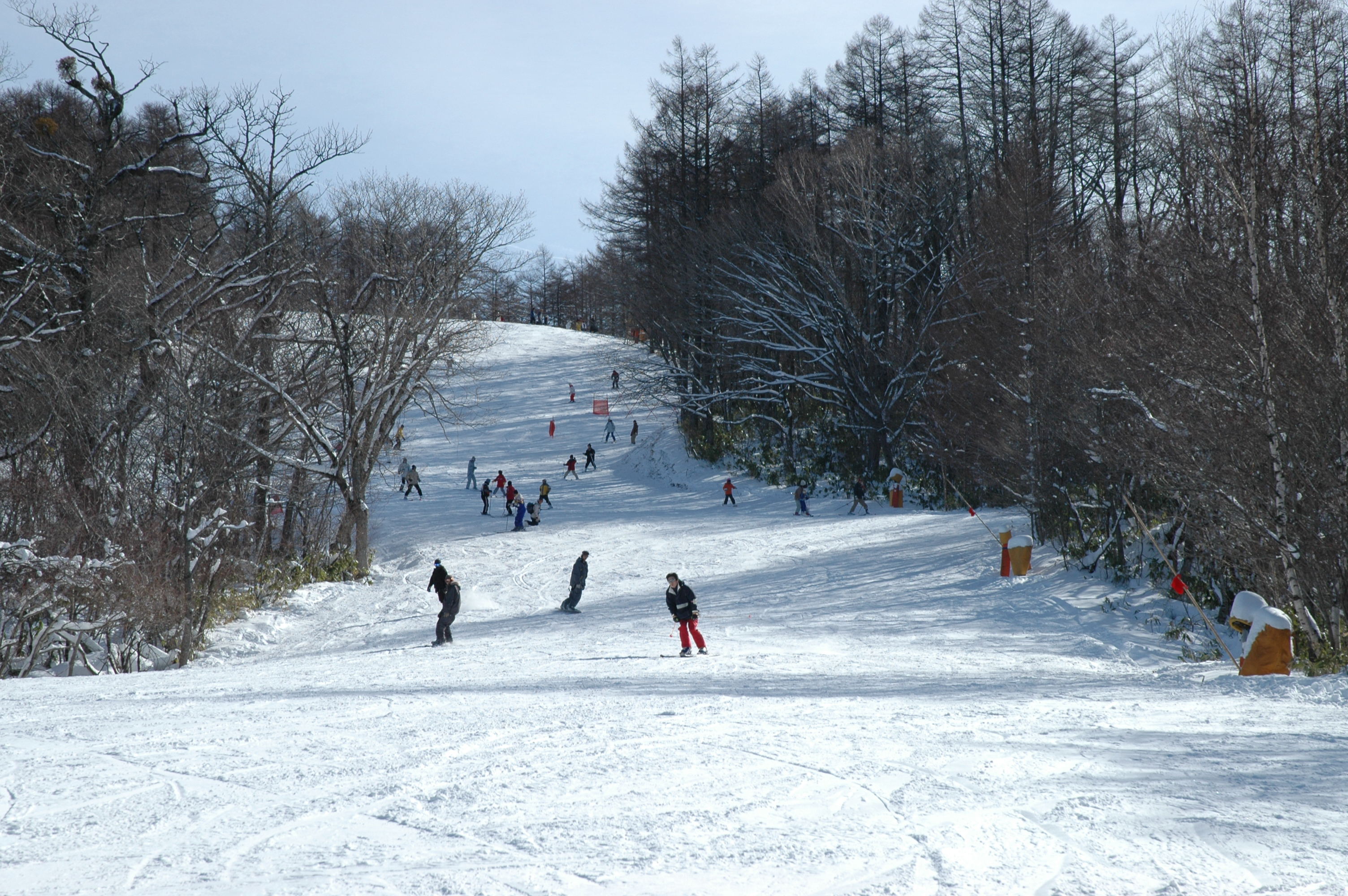 エーデルワイススキーリゾート