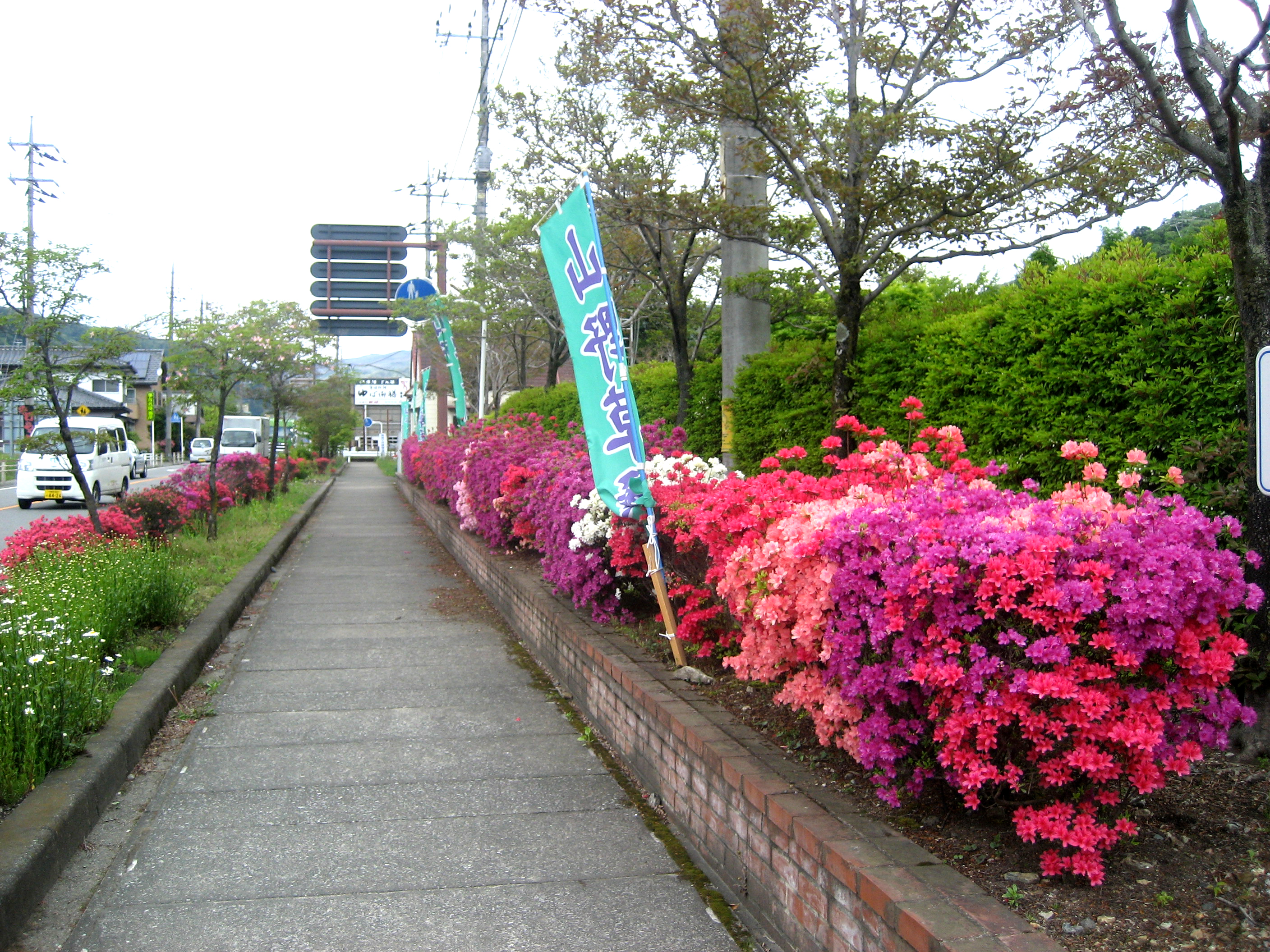 ツツジ　鬼怒川レジャー公園