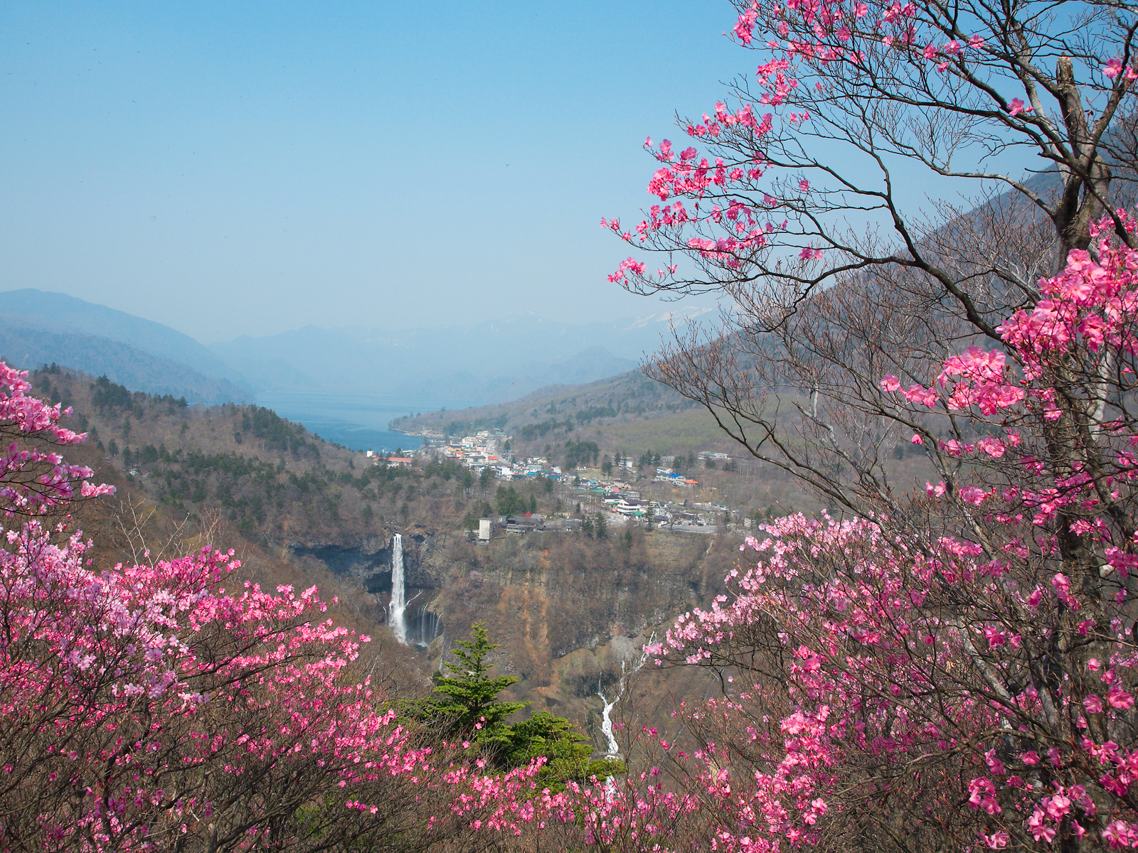 華厳滝、中禅寺湖（アカヤシオ）