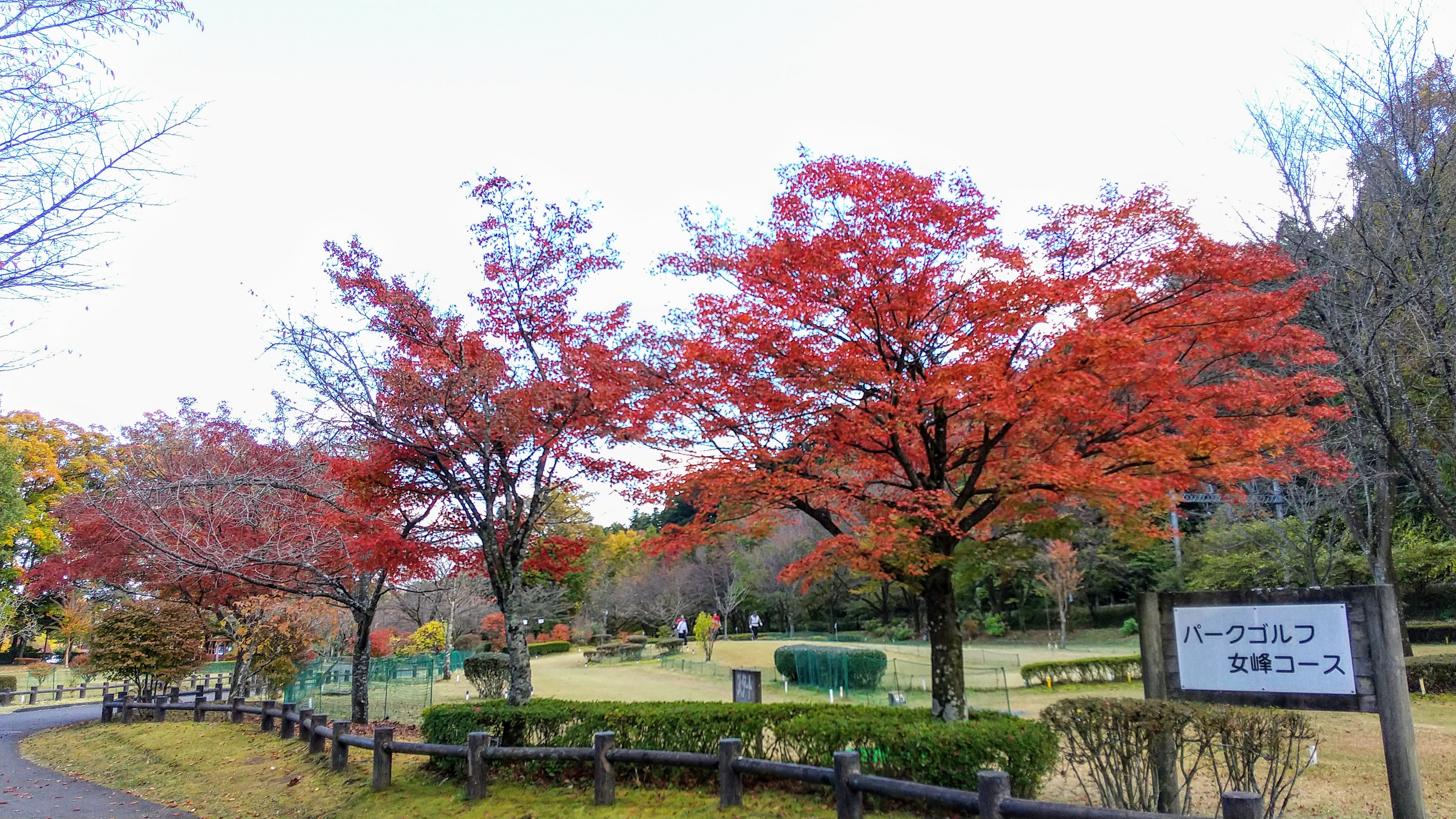 日光だいや川公園