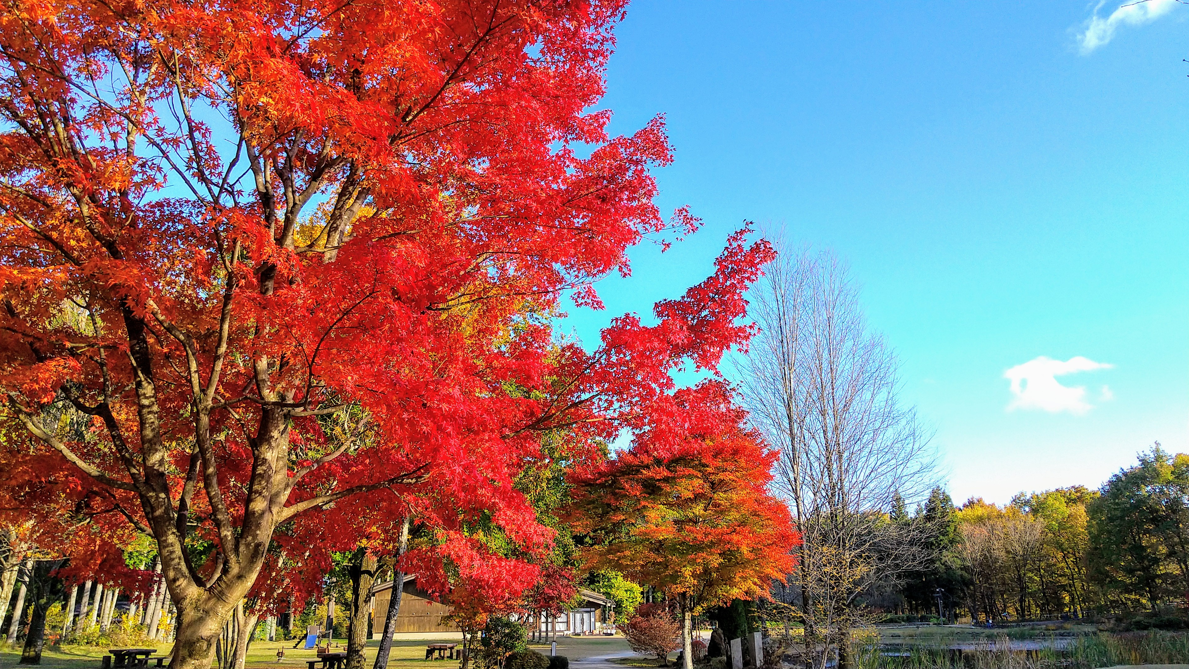 日光だいや川公園