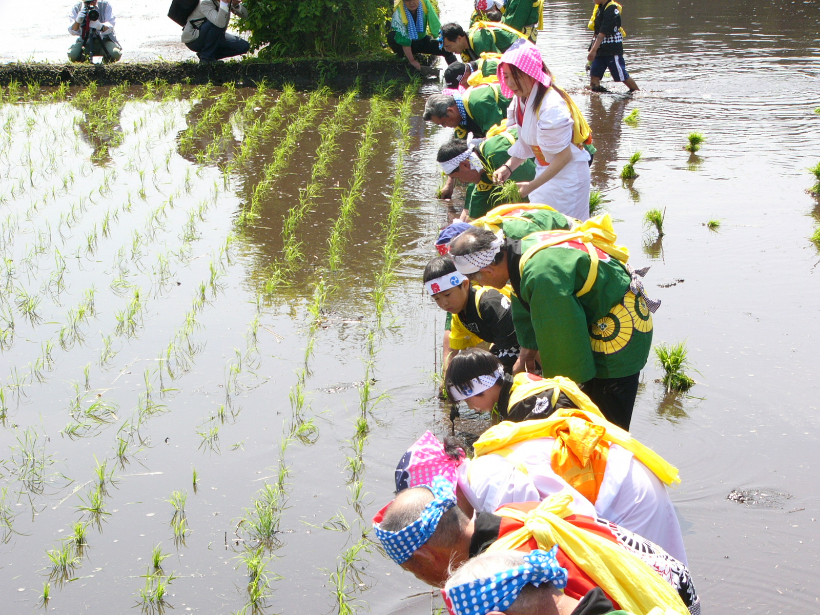 おお杉御田植祭