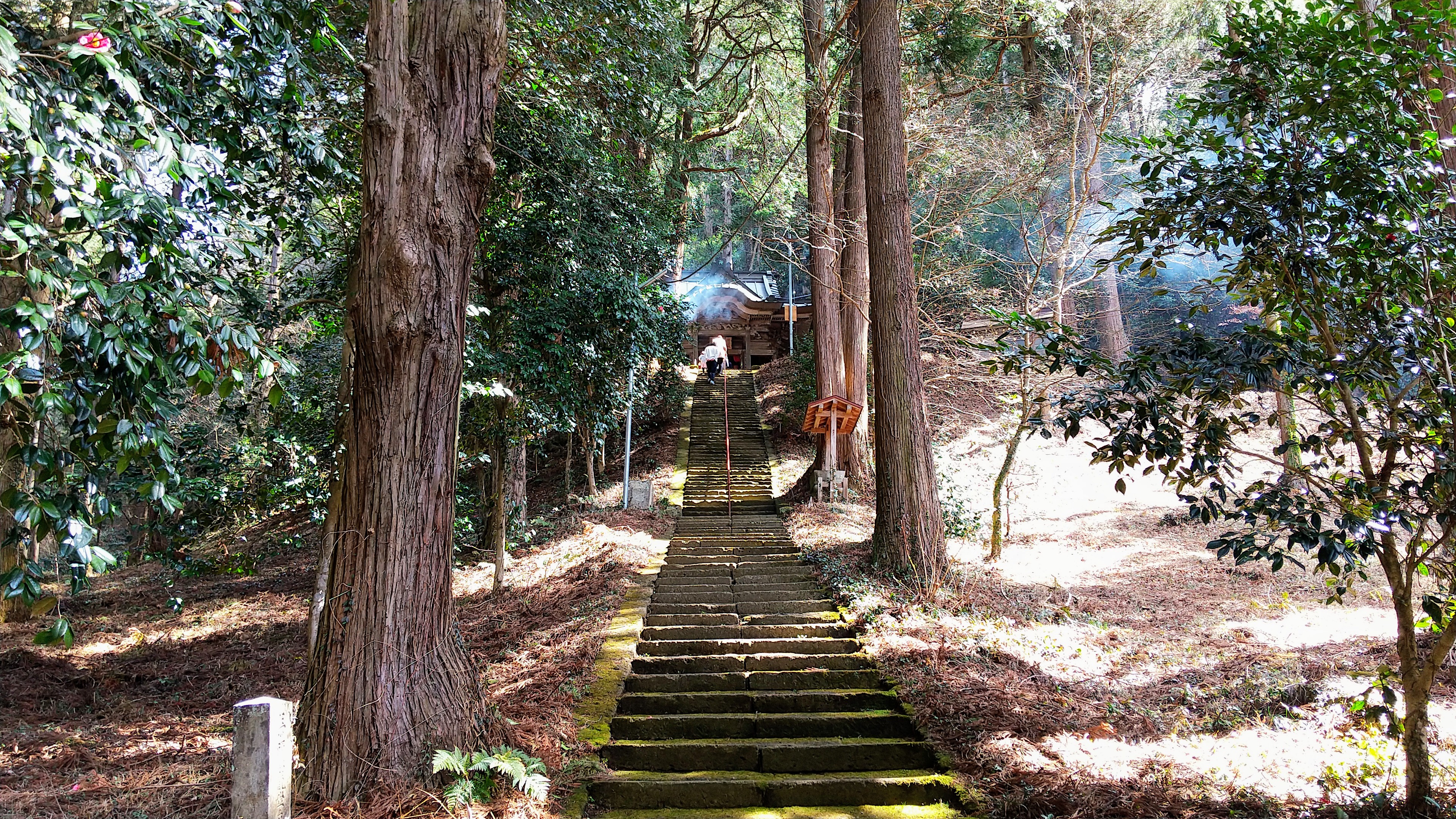 岩崎観世音大祭