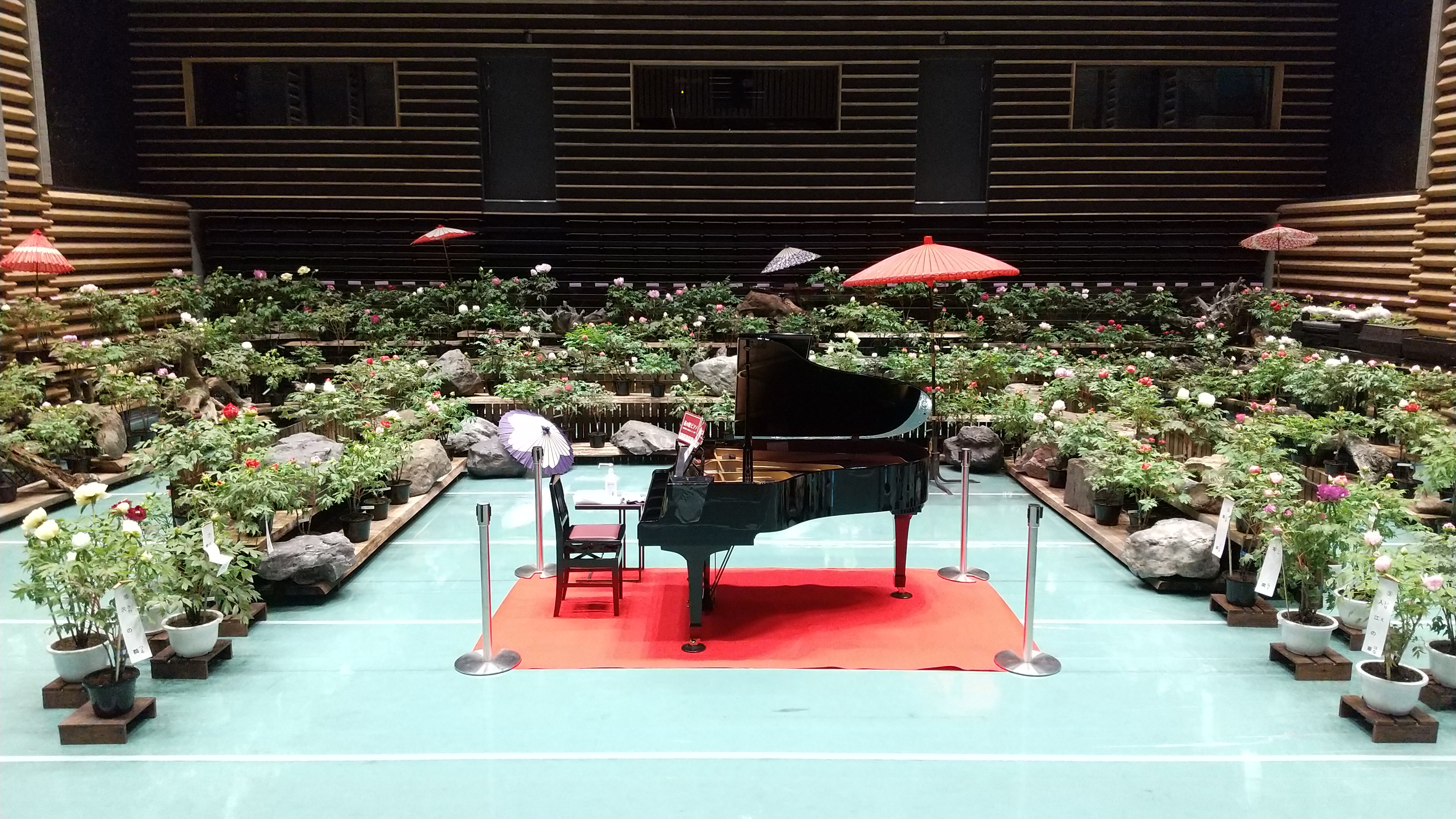 日光街道今市宿 牡丹室内庭園