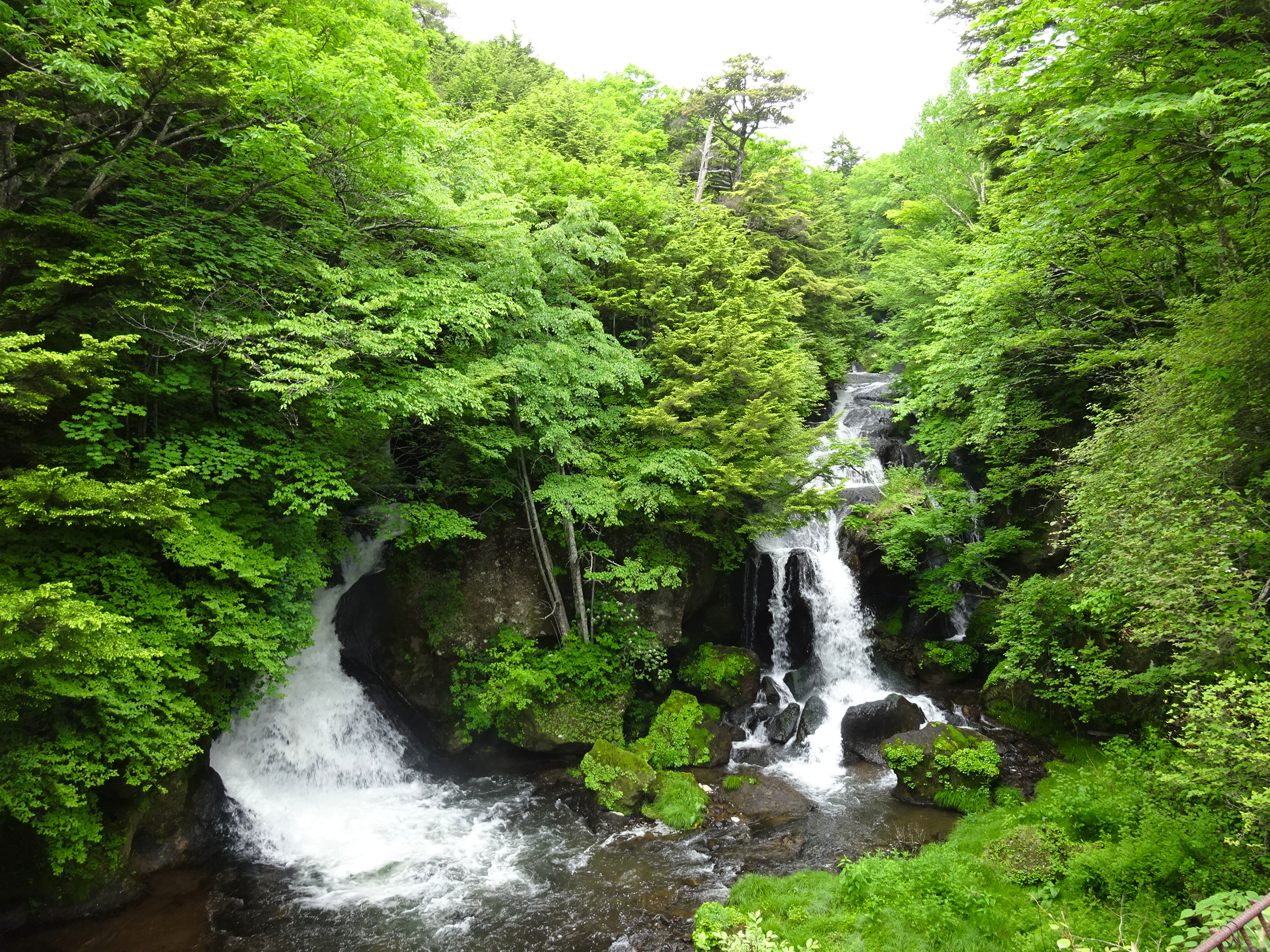 竜頭滝（新緑）