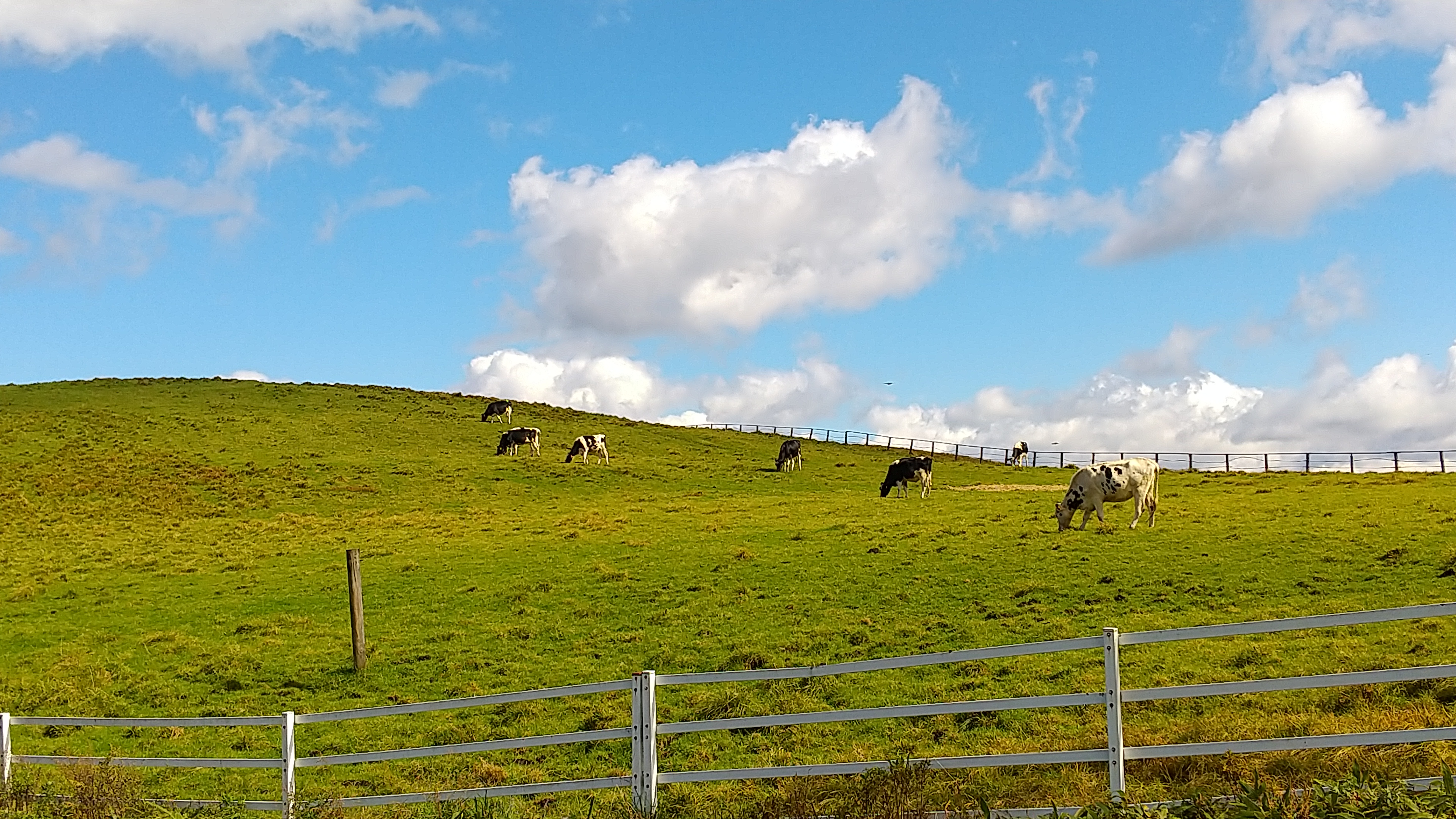 日光霧降高原大笹牧場