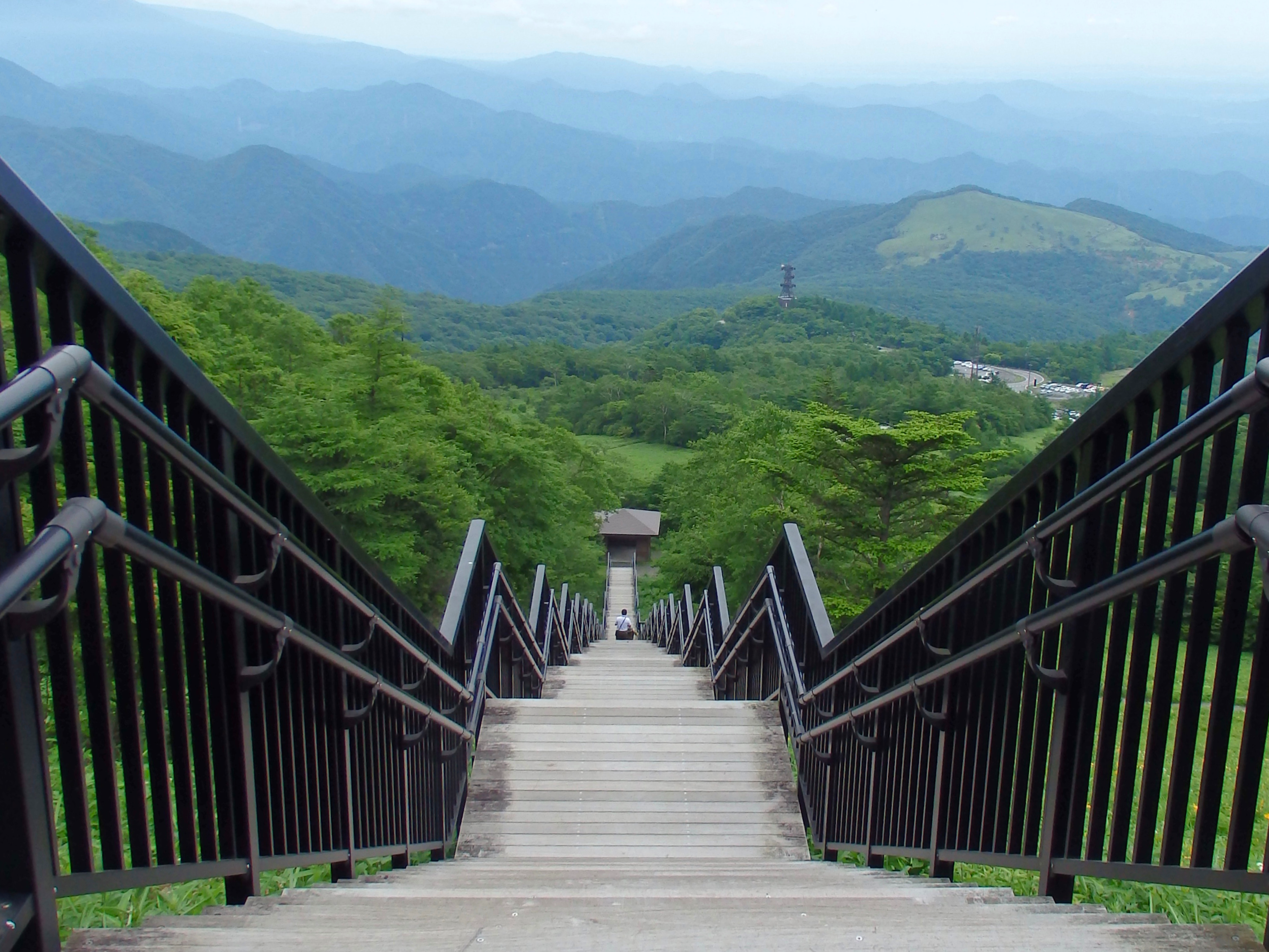 日光霧降高原キスゲ平園地