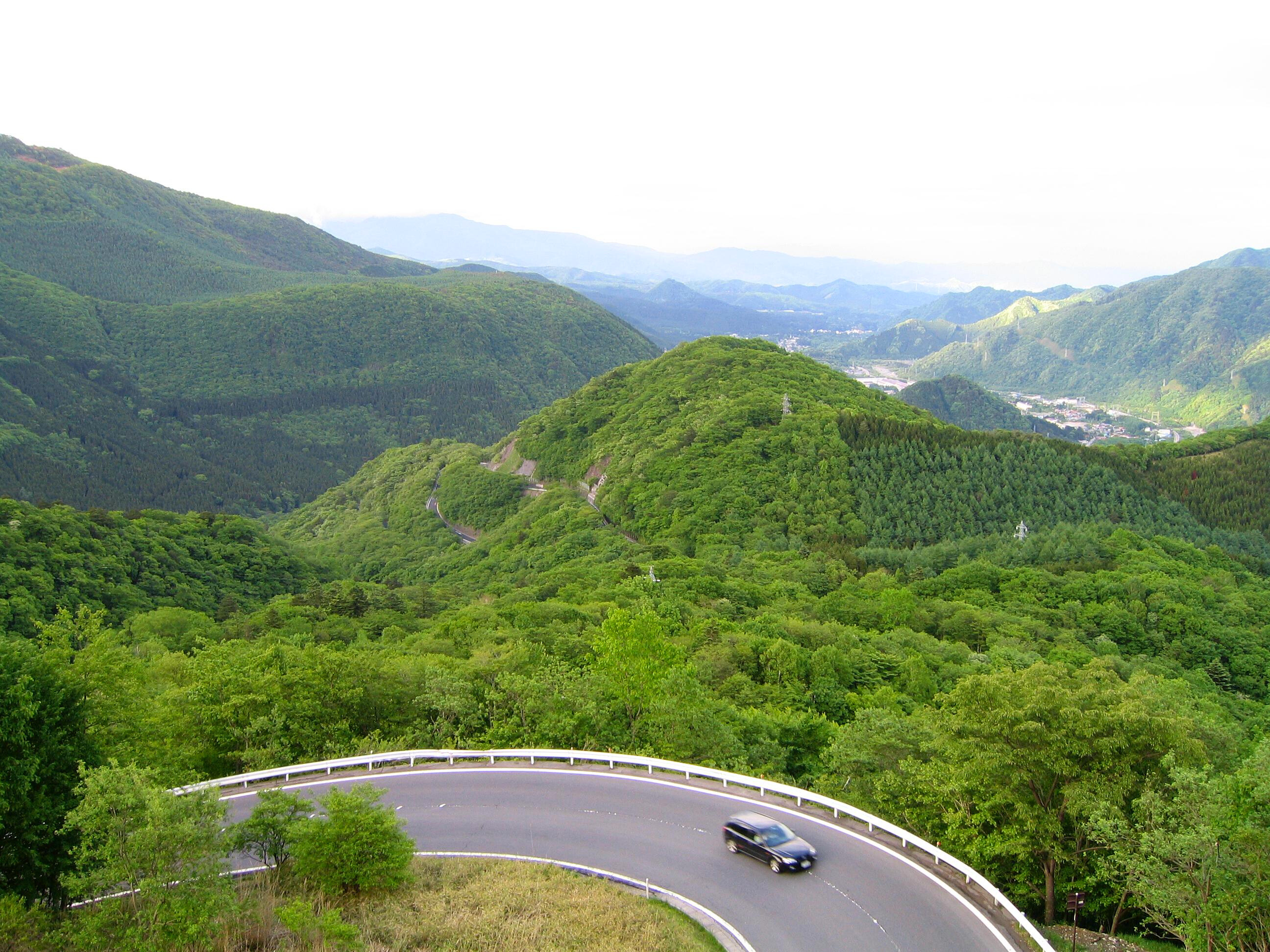 いろは坂（新緑）