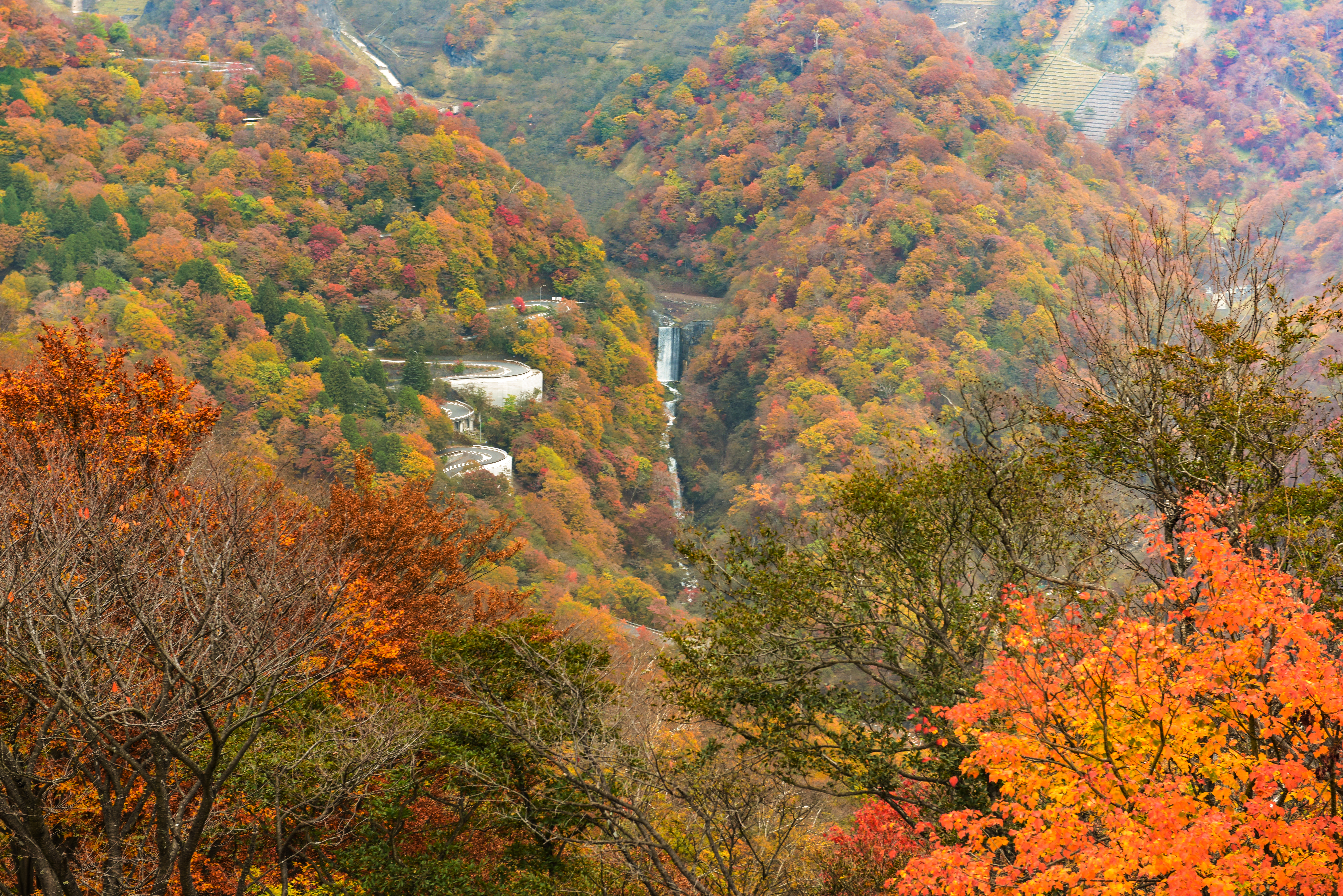 いろは坂（紅葉）