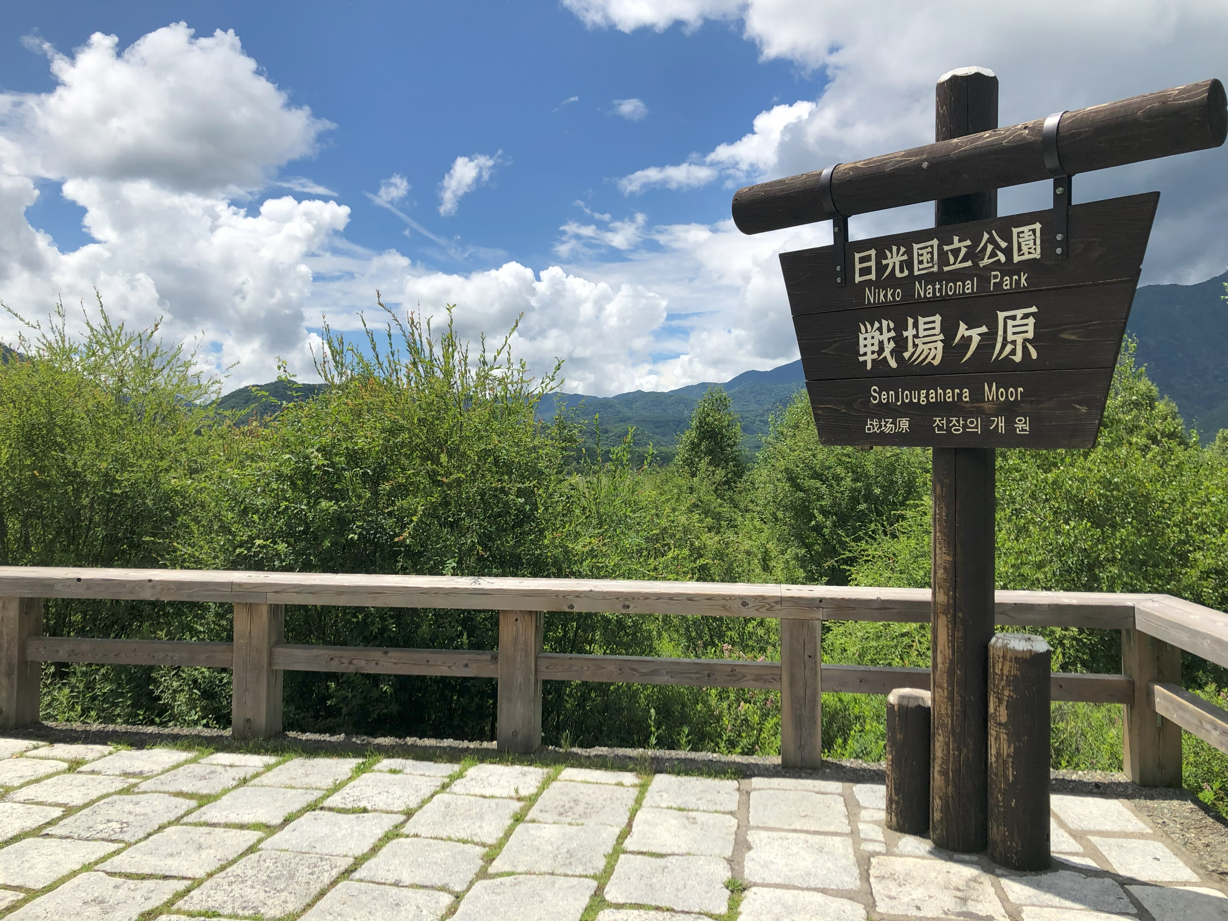 戦場ヶ原（三本松展望台）