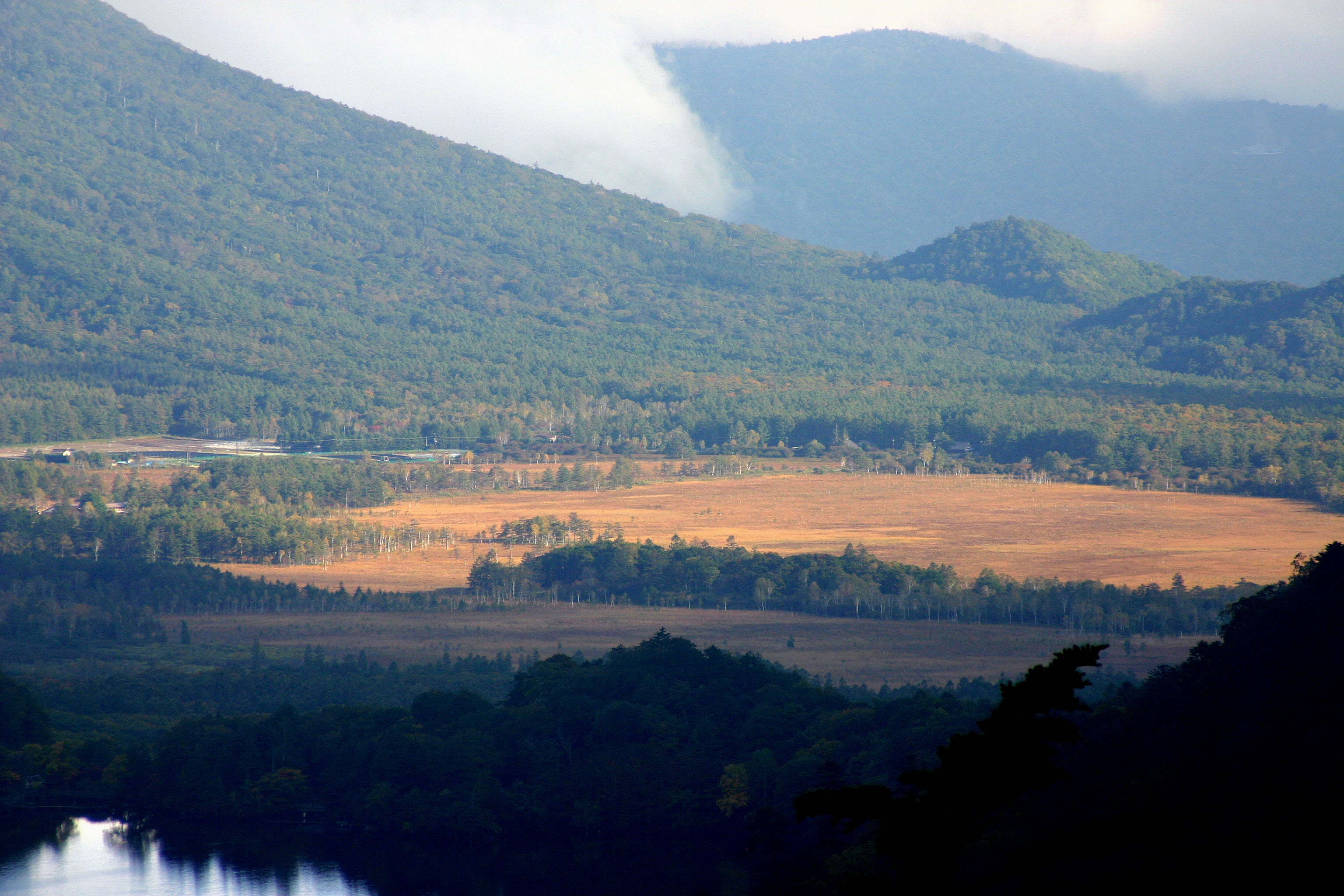 戦場ヶ原（遠景）