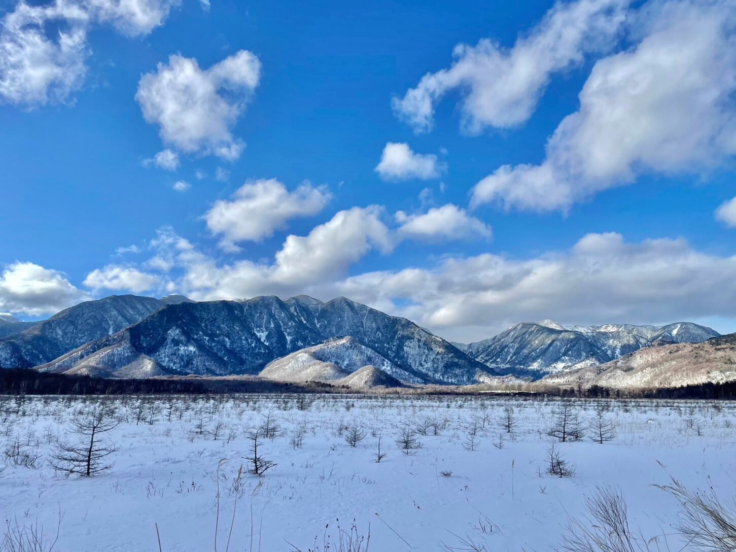 戦場ヶ原（雪）