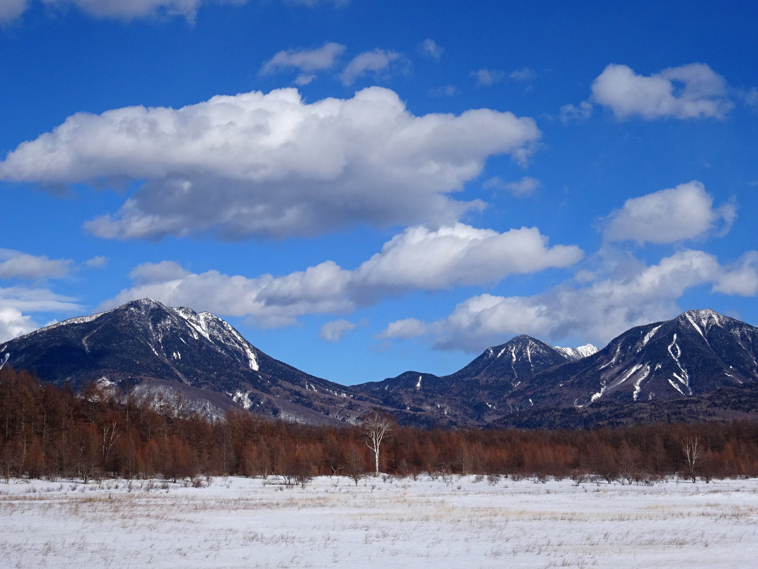 小田代原（雪）