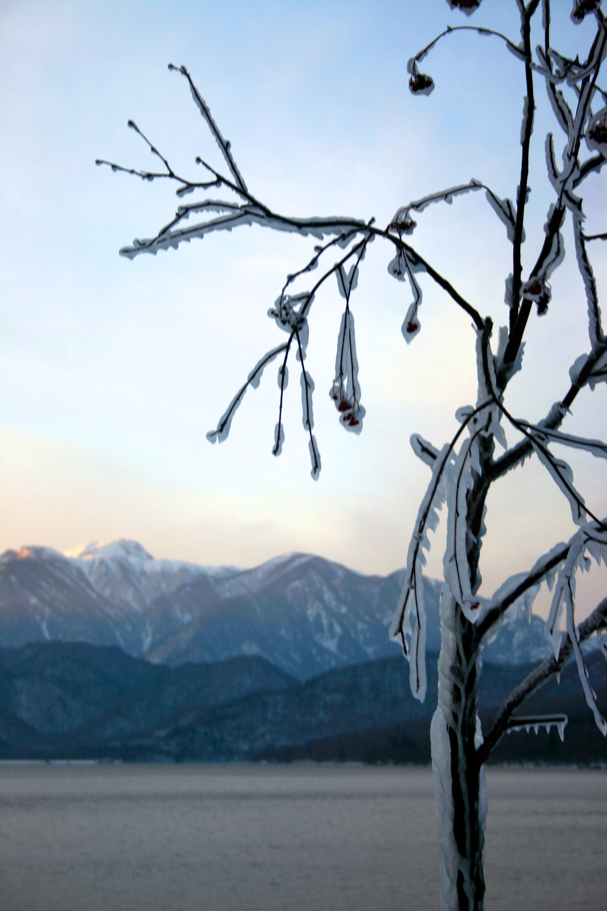 中禅寺湖（しぶき氷）