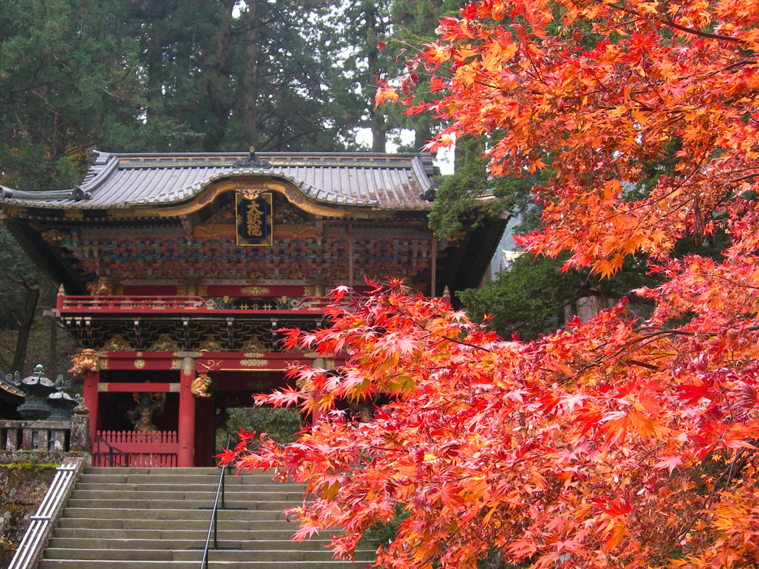 日光山輪王寺 大猷院（仁王門、紅葉）