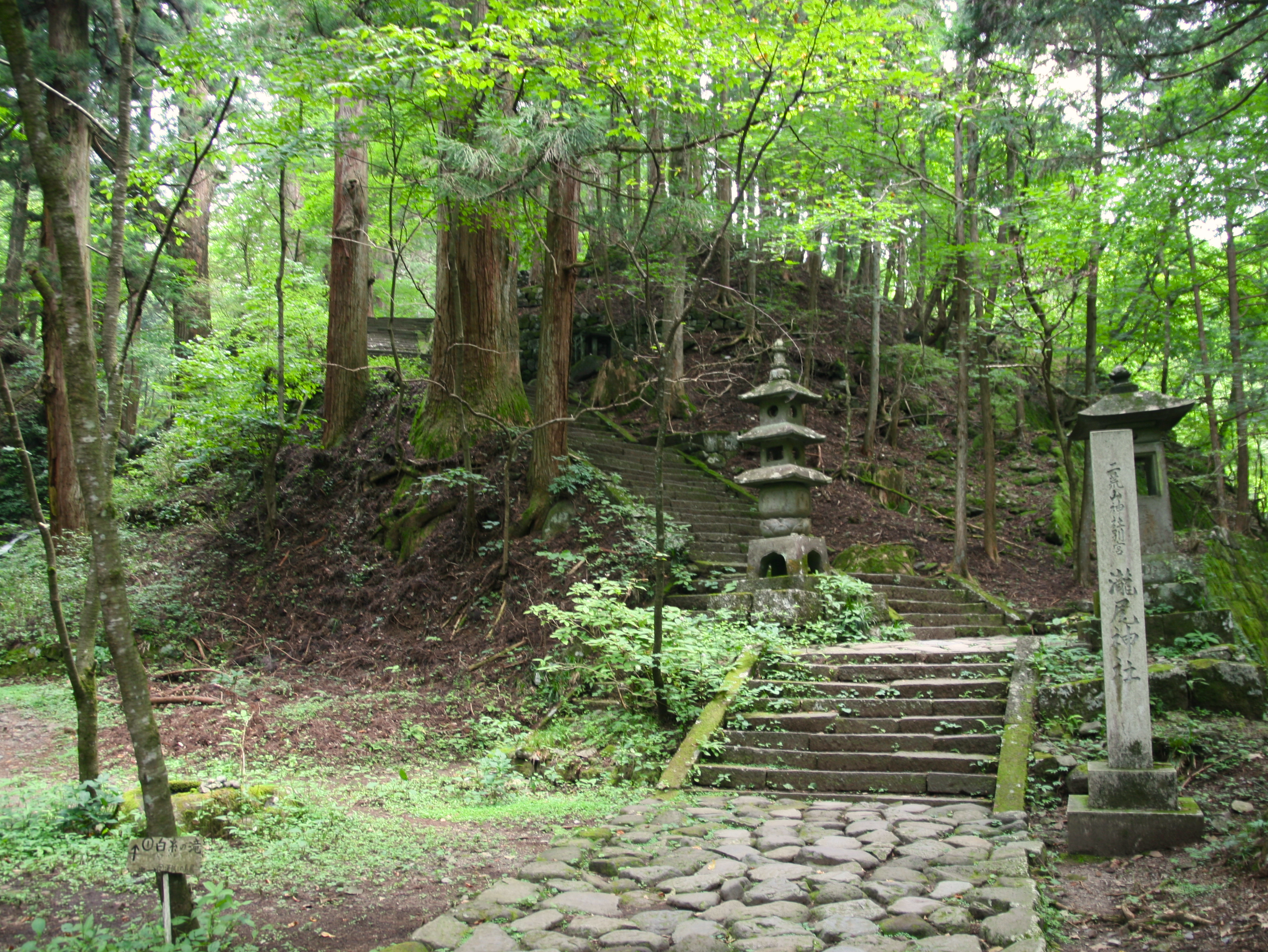 滝尾神社（新緑）