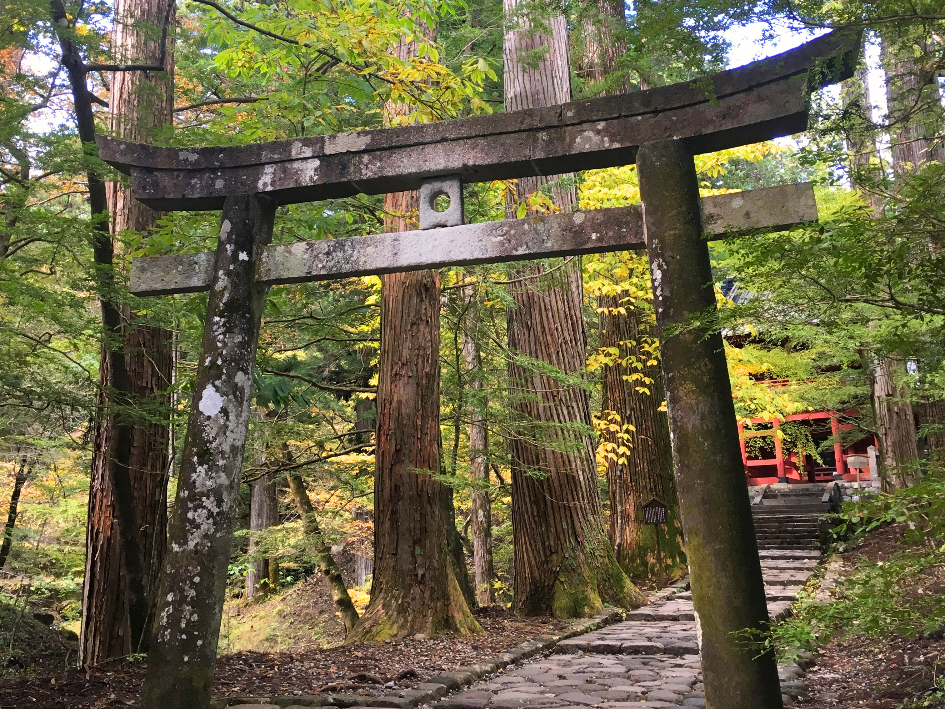 滝尾神社（運試しの鳥居）
