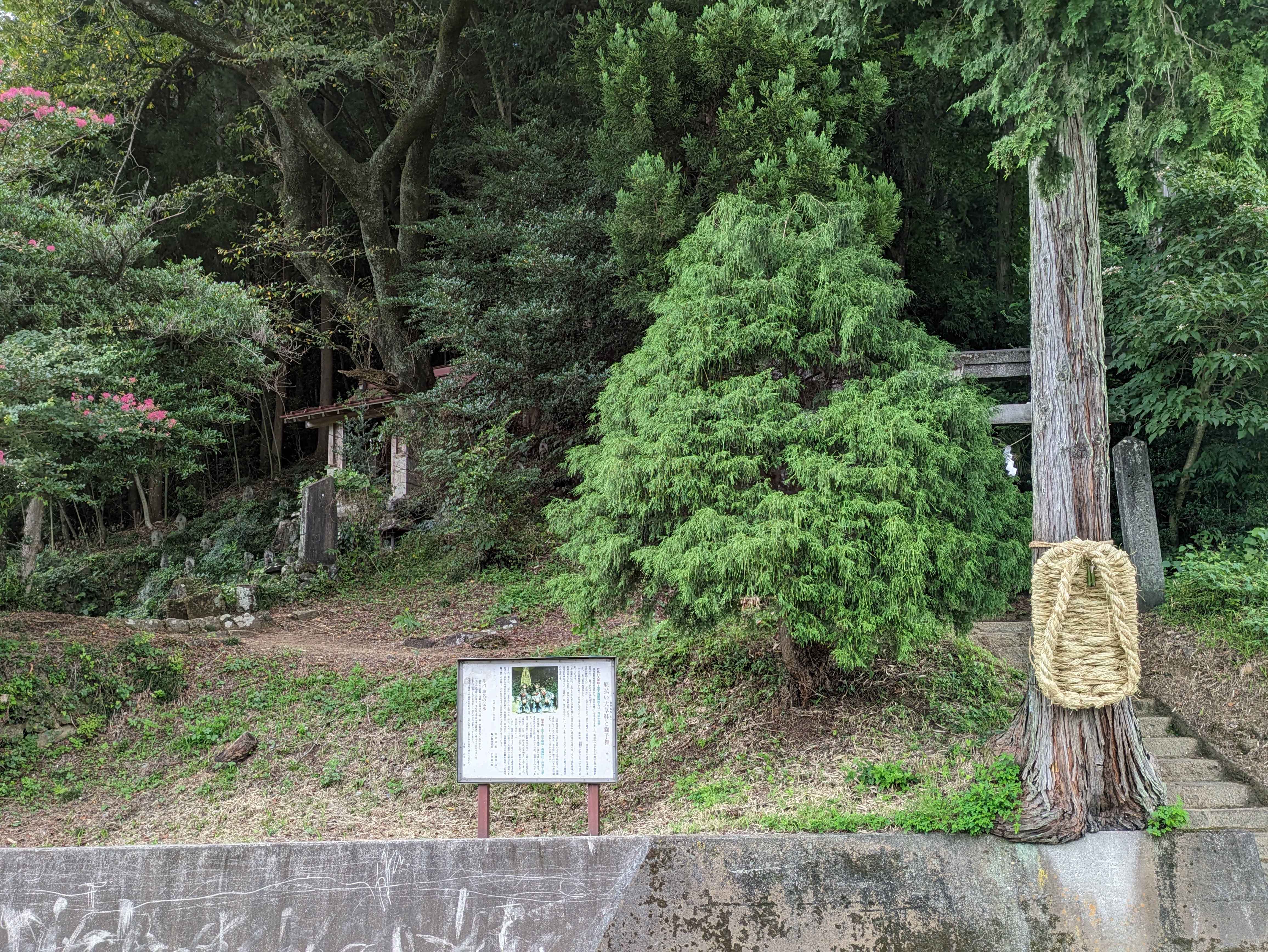芹沼地区の厄除け大わらじ奉納1