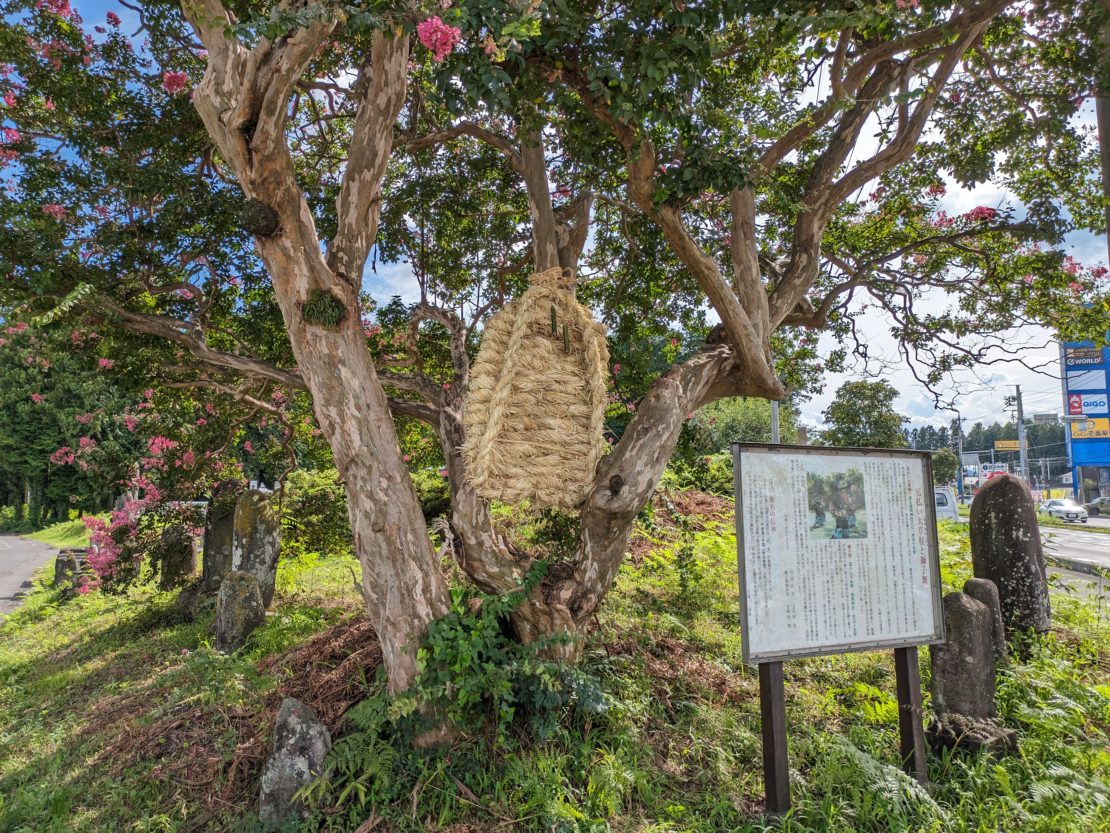 芹沼地区の厄除け大わらじ2