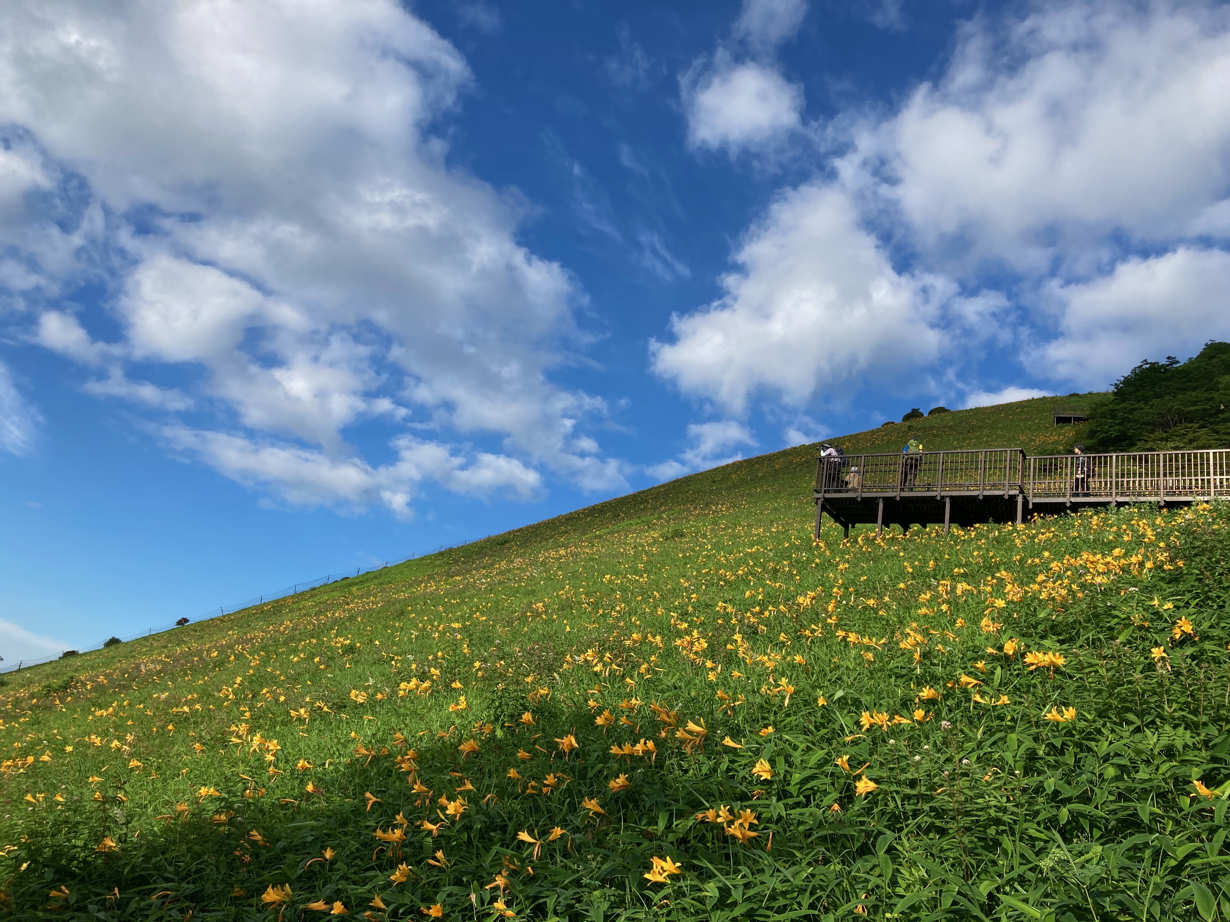 あわせて読みたい