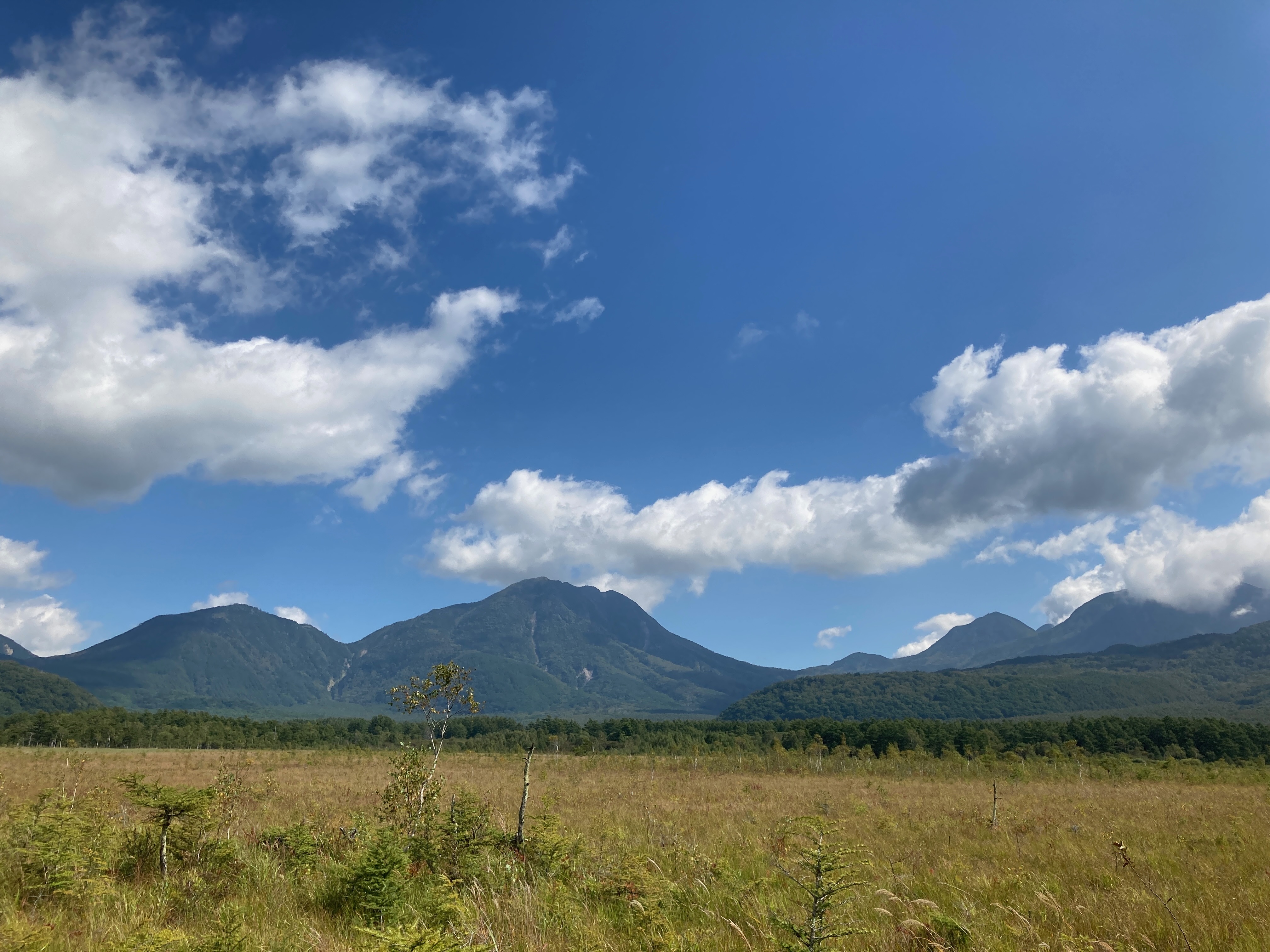 あわせて読みたい！