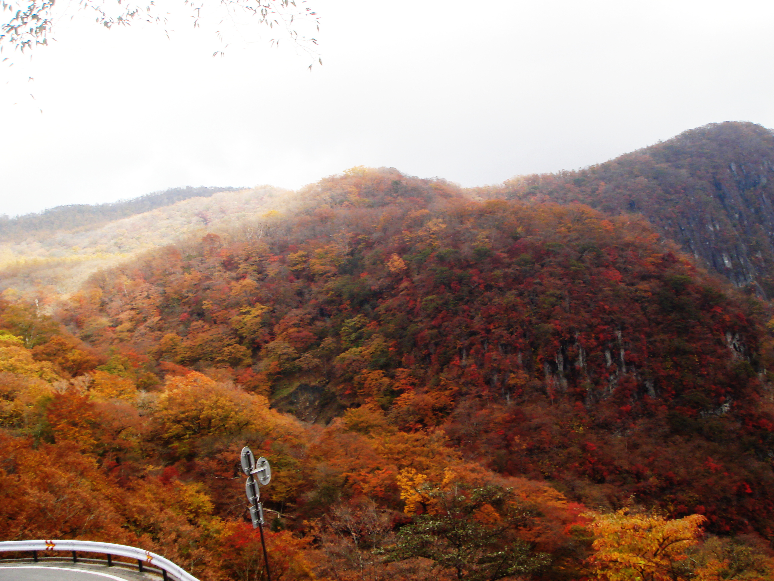 オストメイト使用者はこのホテルがおすすめ！